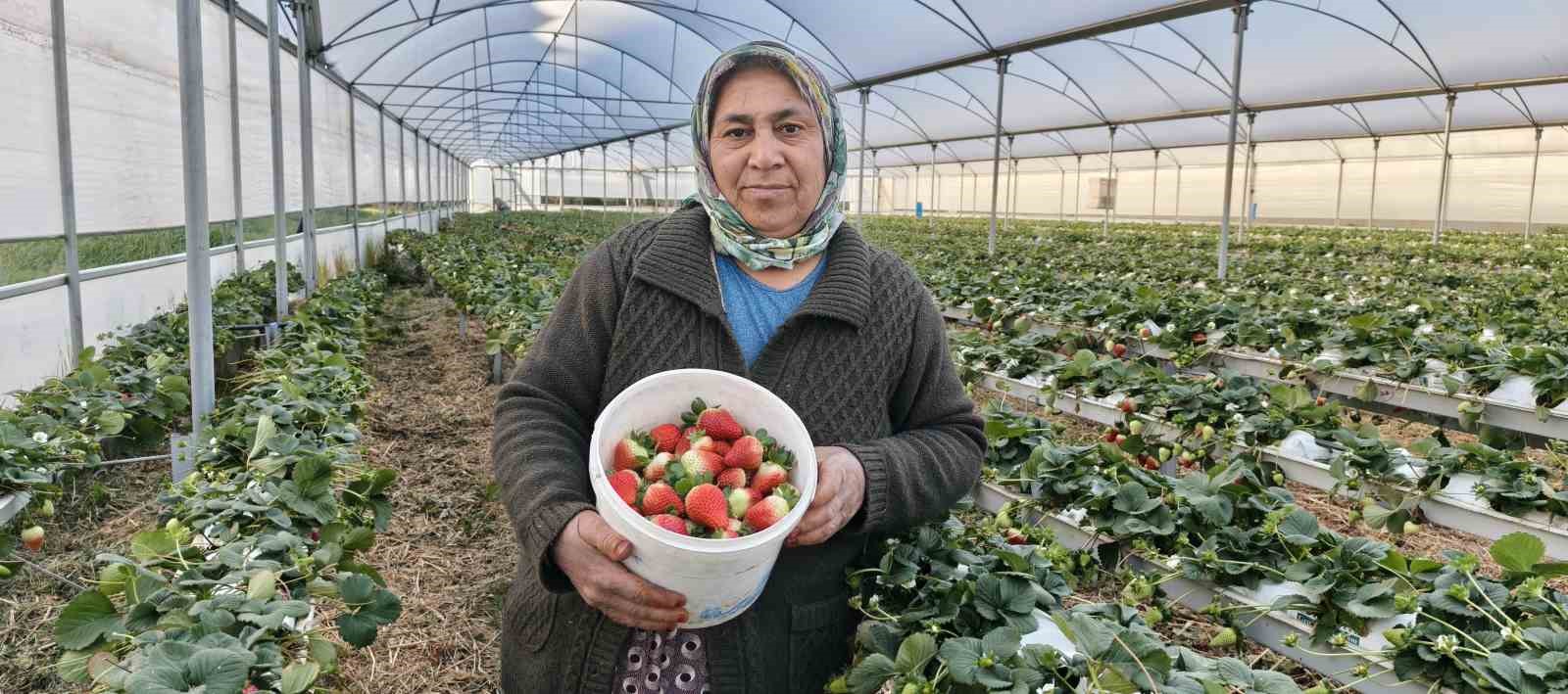 Kad�nlar G�n�n� tarlada �al��arak kutlad�lar
