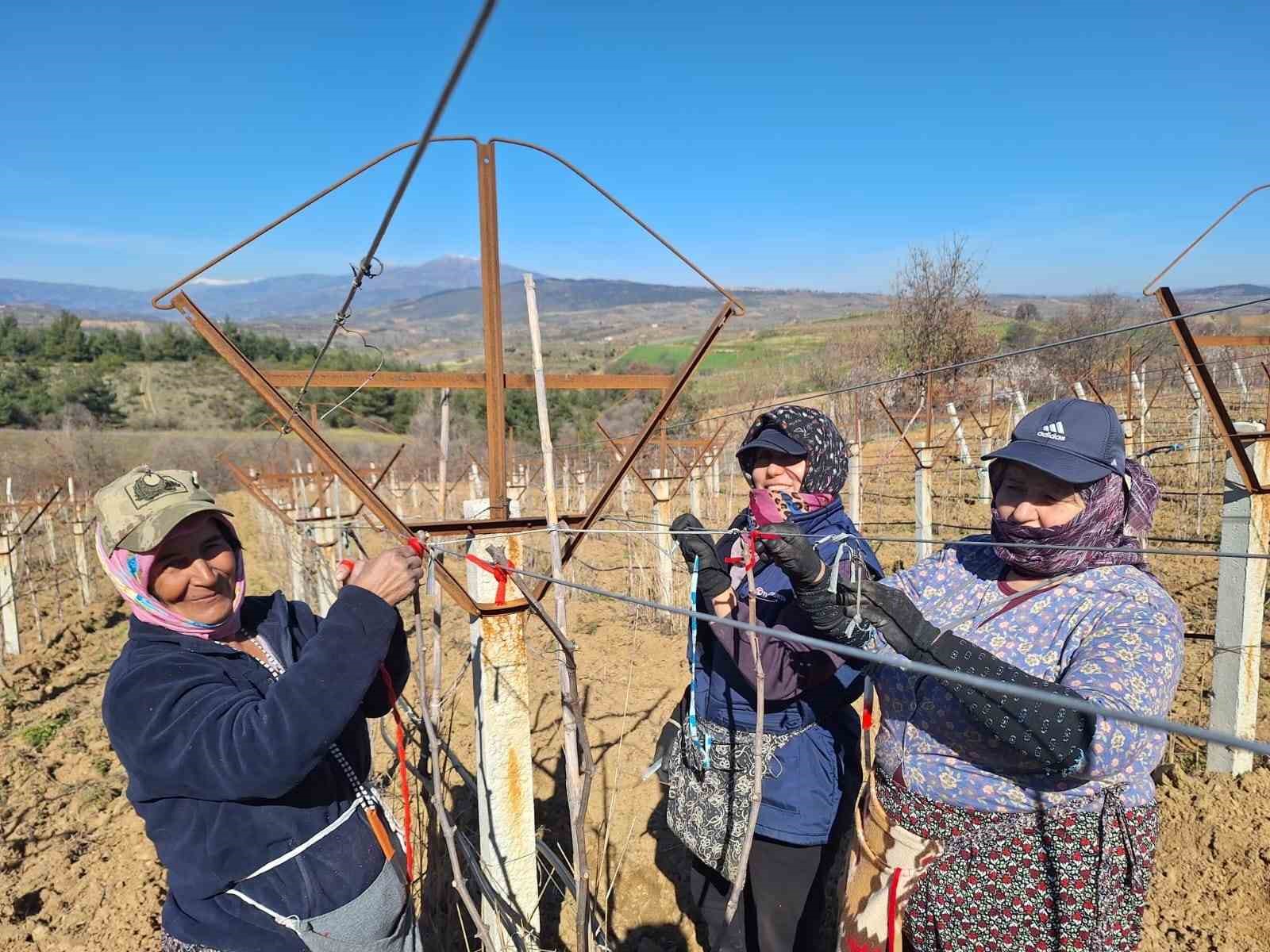 Sarıgöllü kadınlar 8 Mart’ı bağlarda çalışarak kutladı