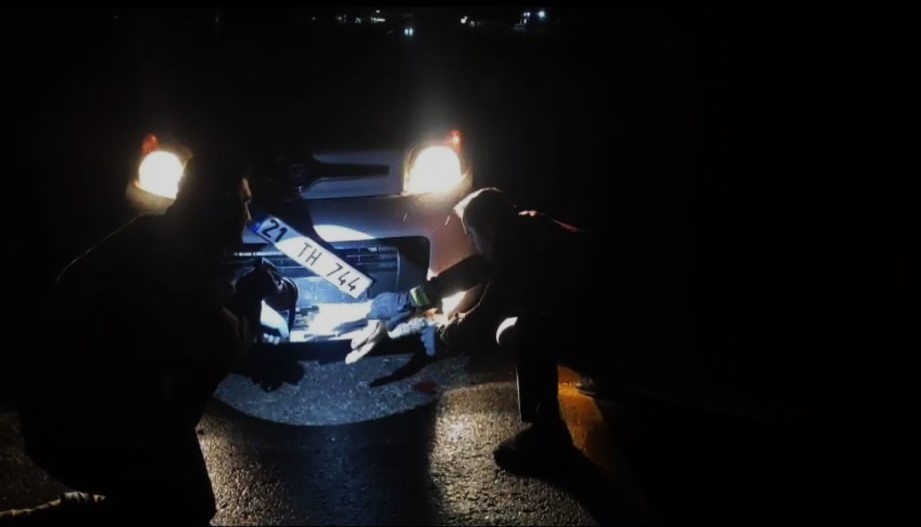 Batman&rsquo;da &ccedil;arpma sonucu aracın tamponuna sıkışan tilki kurtarıldı
