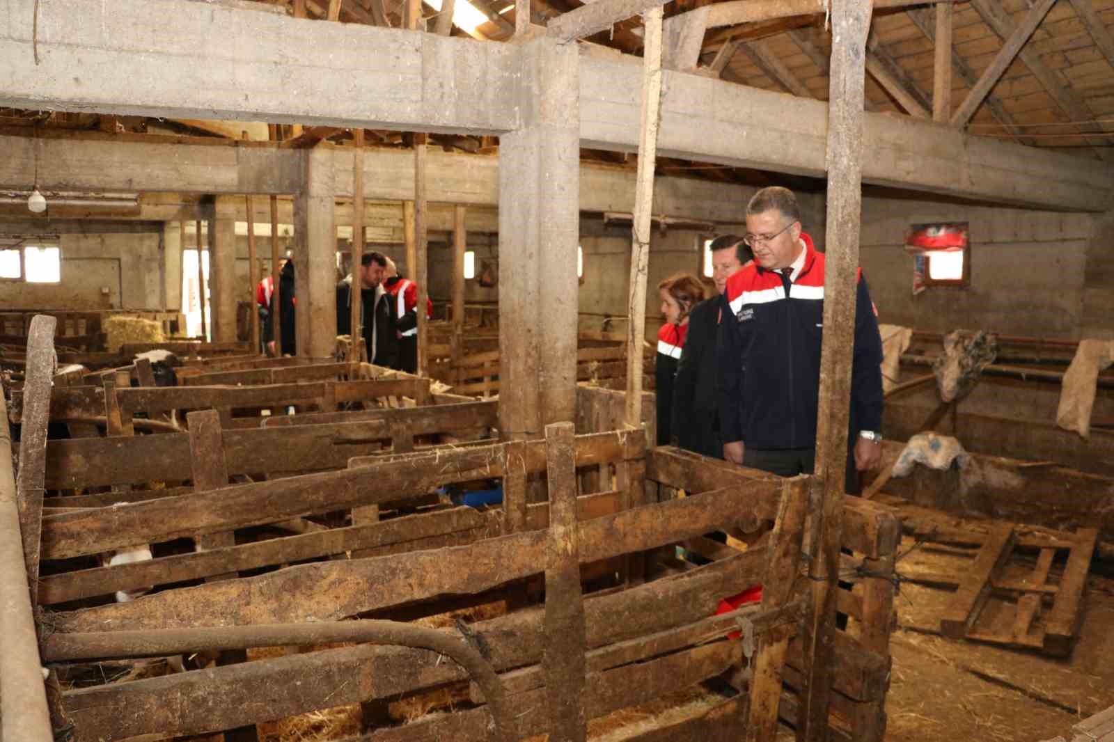 Samsun’da ari işletme sayısı artıyor