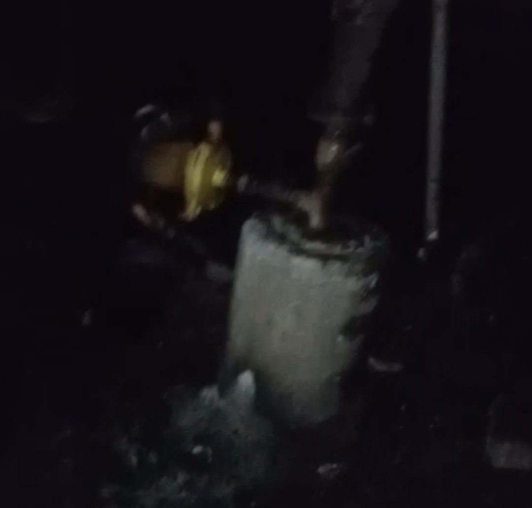 Adana’da 40 güvercin yangında telef oldu