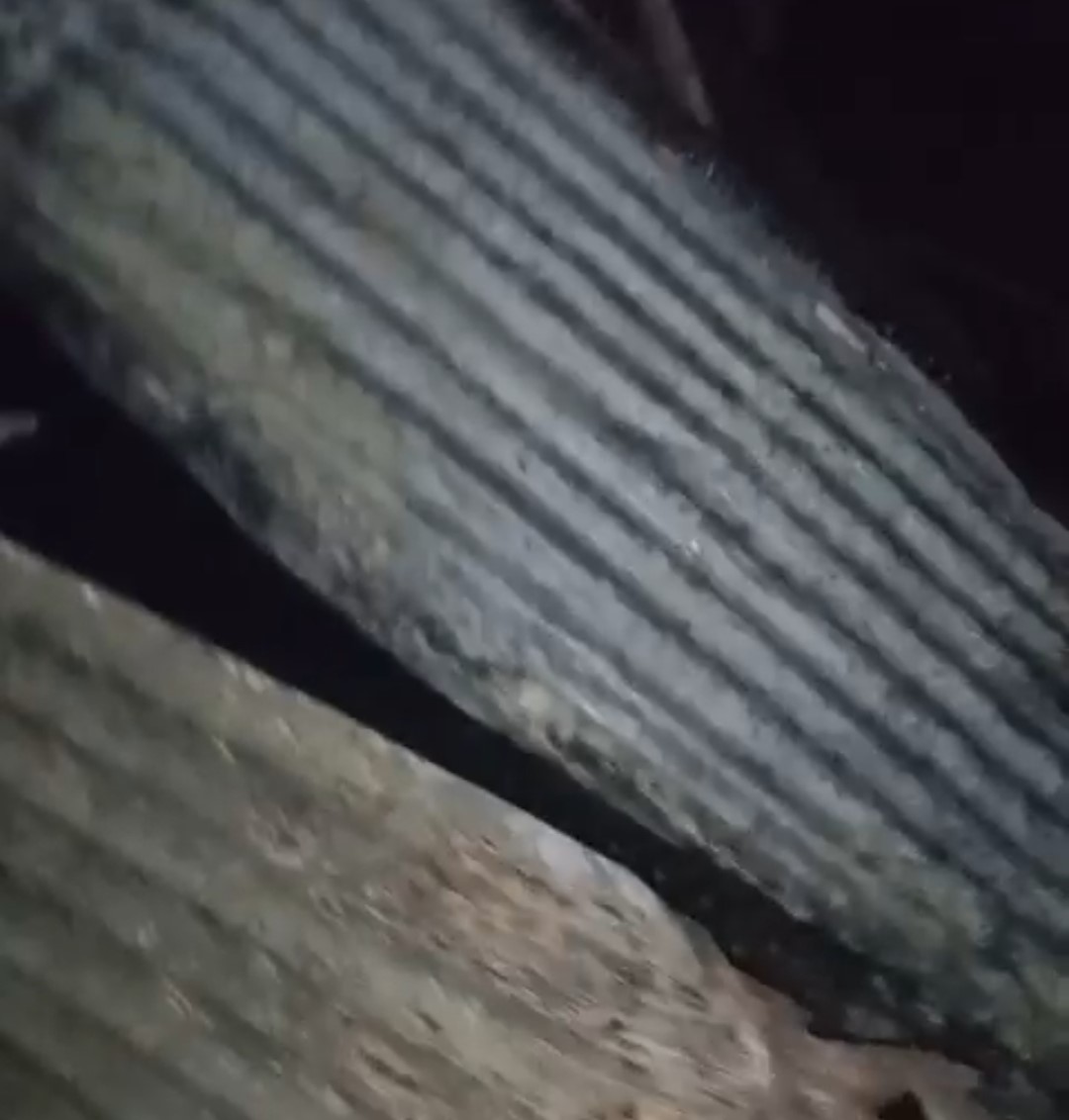 Adana&rsquo;da 40 g&uuml;vercin yangında telef oldu
