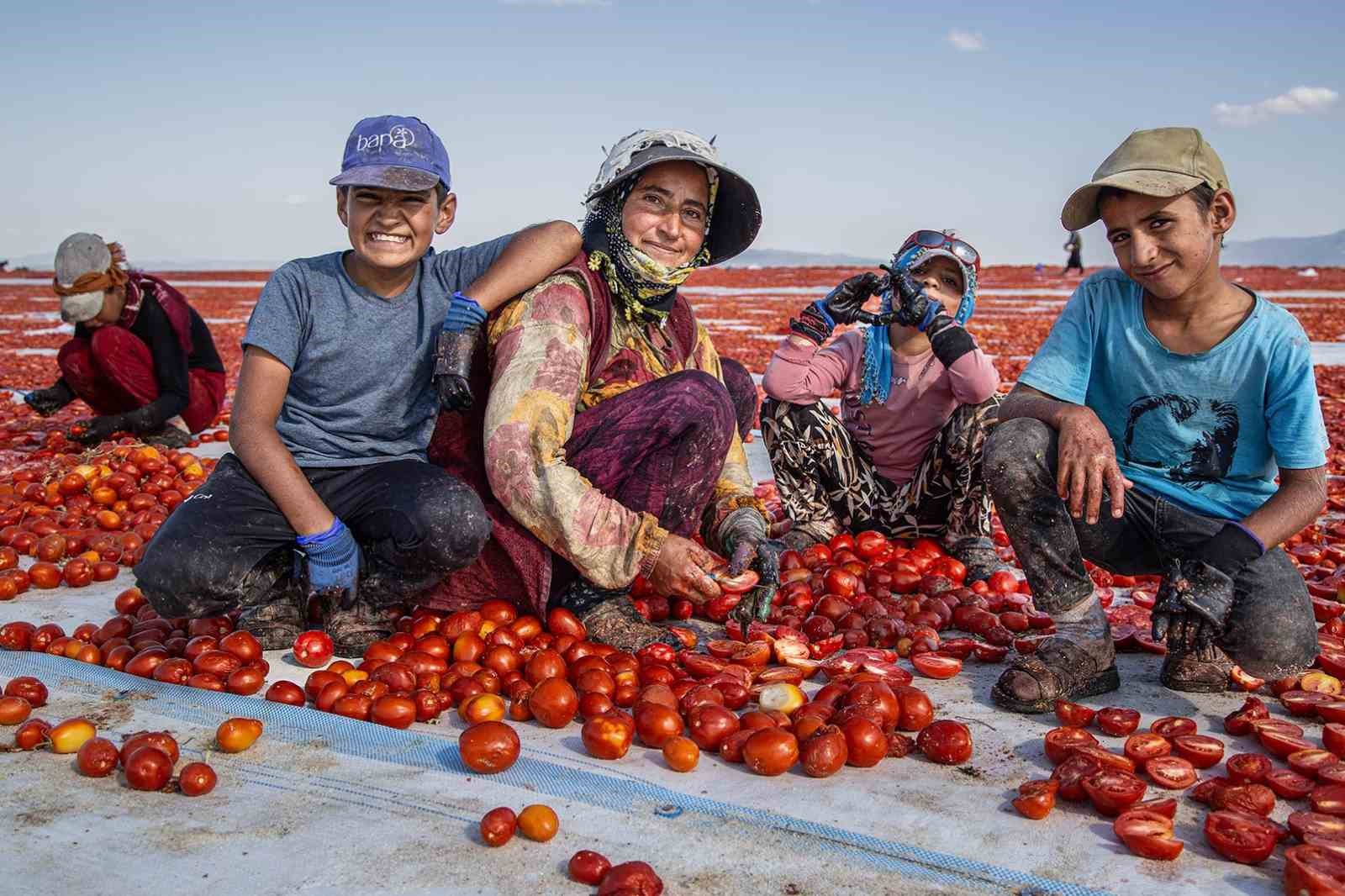 MUFSAD&rsquo;ın fotoğraf yarışmasında Manisalı fotoğraf&ccedil;ılar damga vurdu
