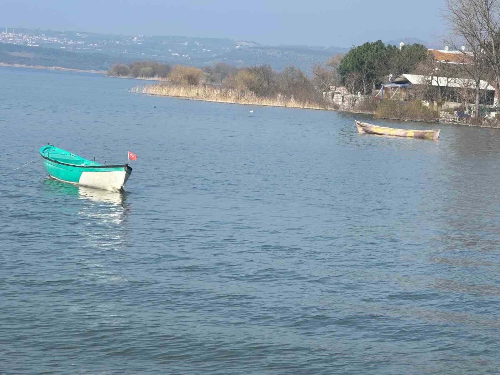 Turna severlere Uluabat Gölü’nden güzel haber