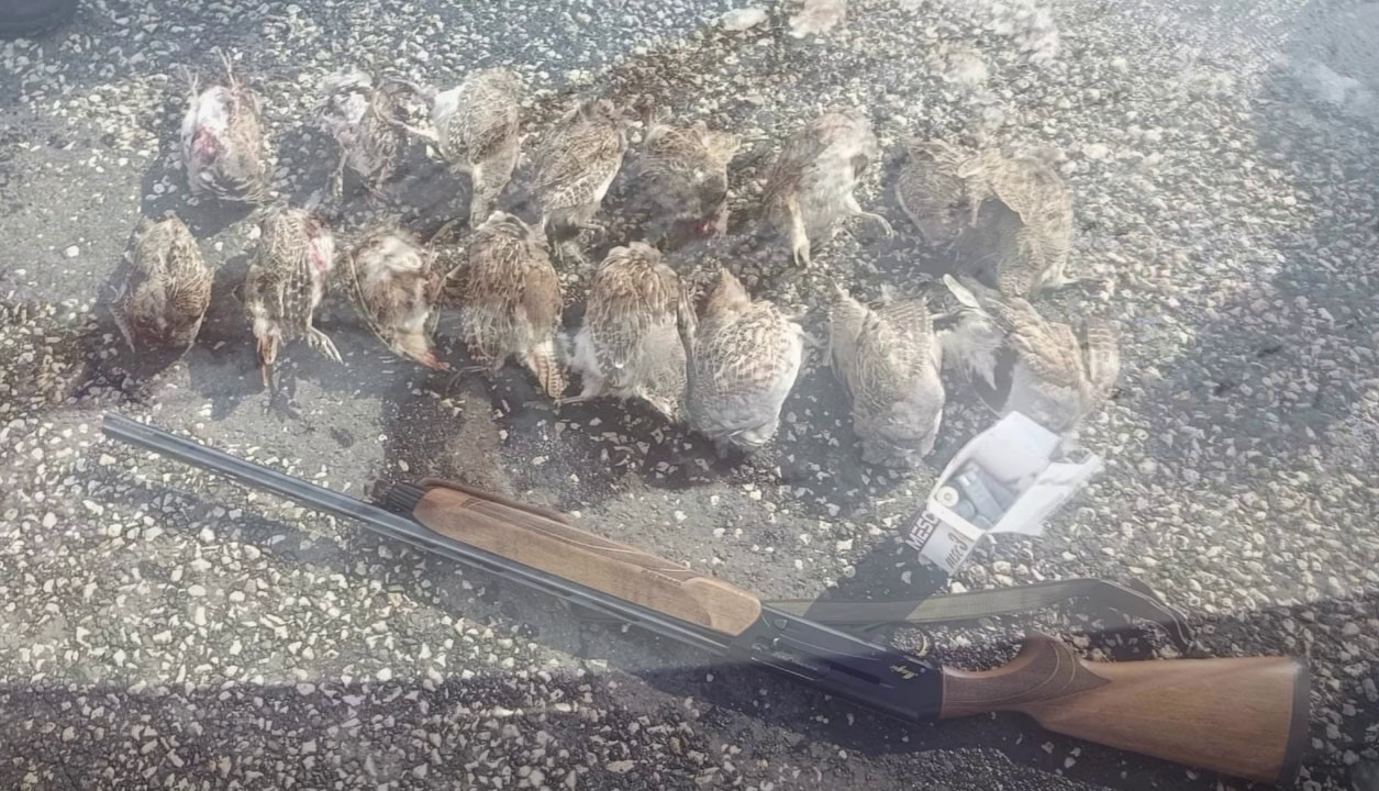 Ka&ccedil;ak ve usuls&uuml;z avlanmaya ge&ccedil;it vermiyorlar
