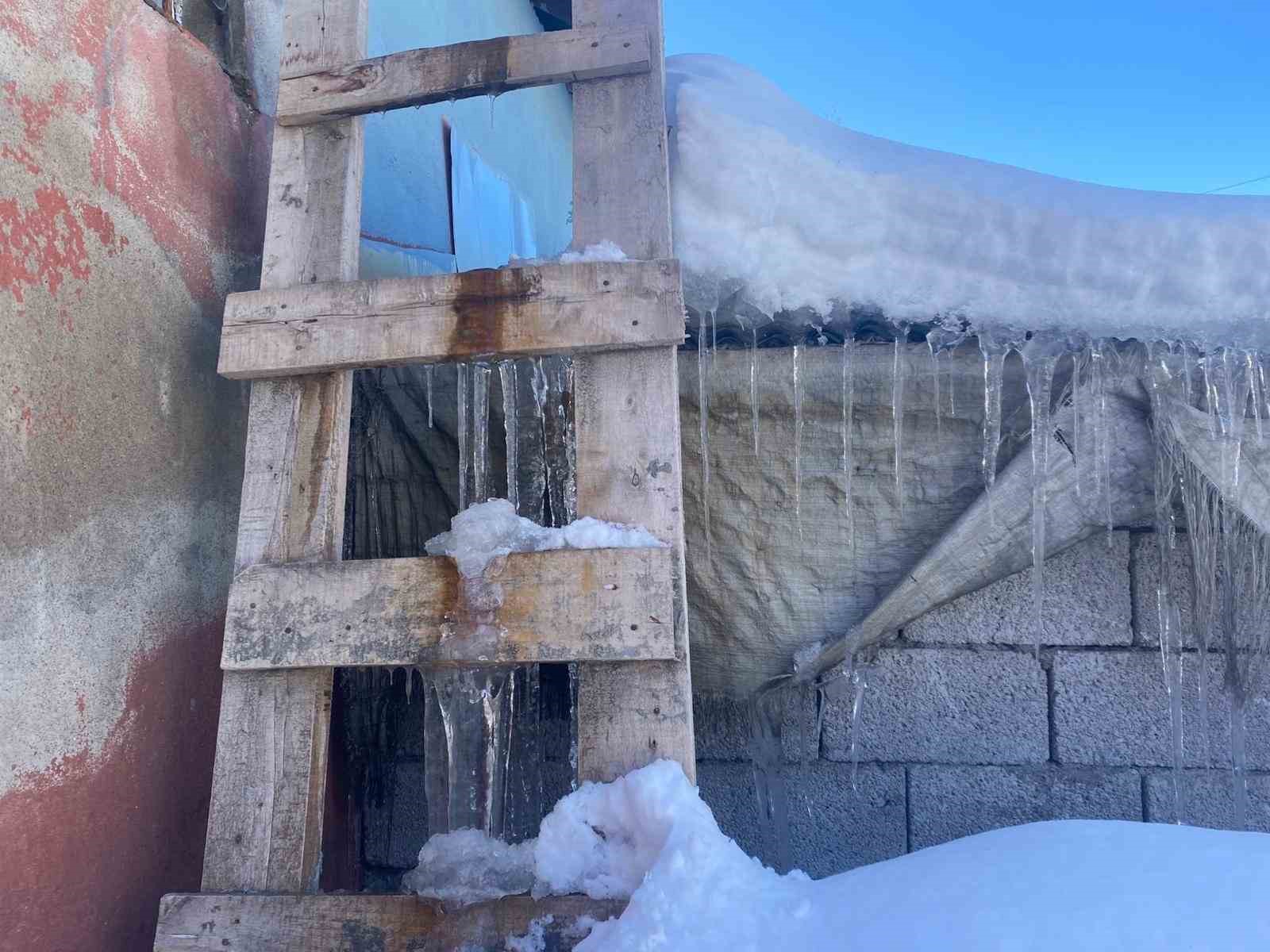 Patnos’ta kar yağışının ardından don etkili oldu