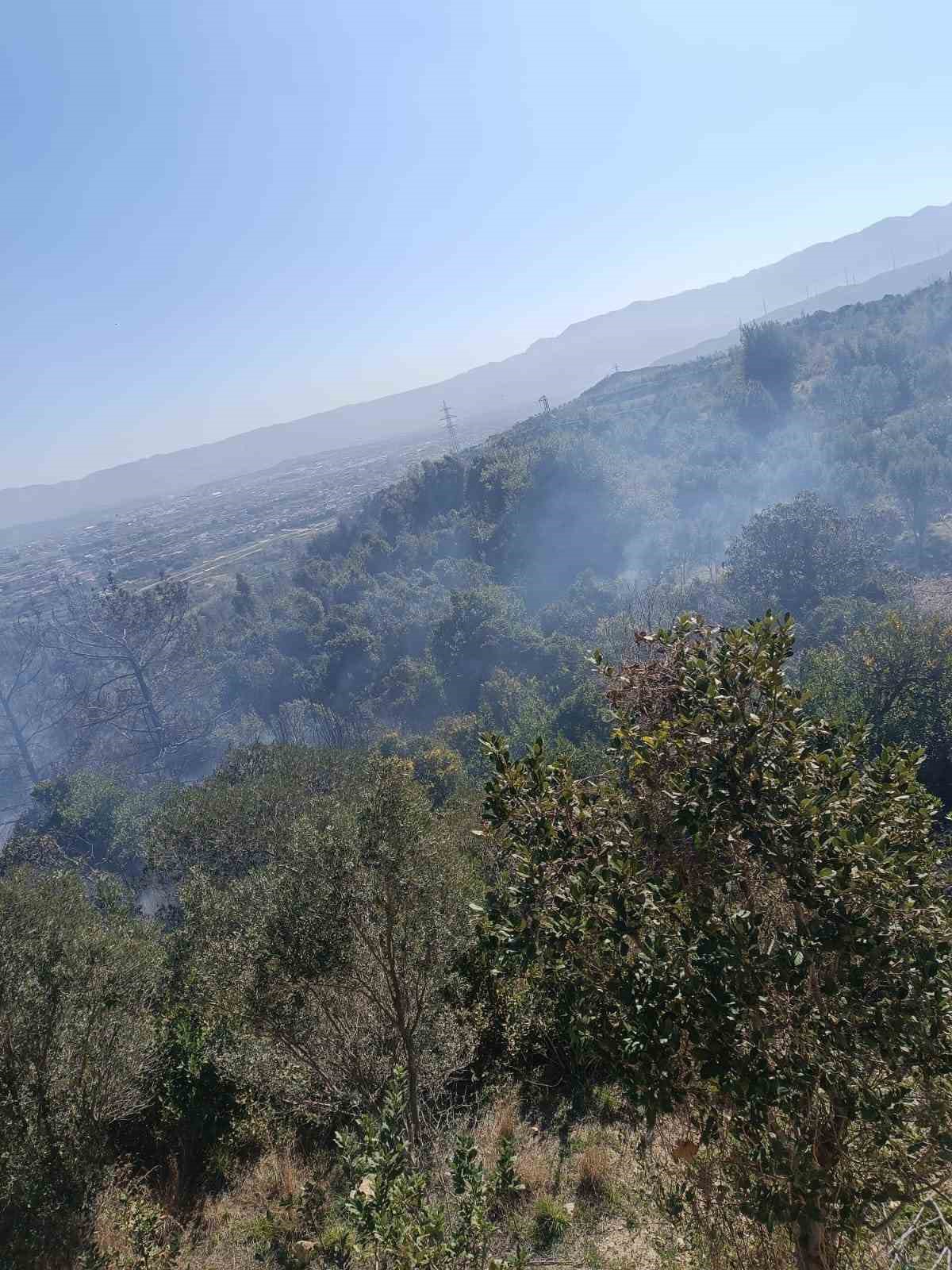 Samandağ&rsquo;da ormanlık alanda &ccedil;ıkan yangın kısa s&uuml;rede kontrol altına alındı
