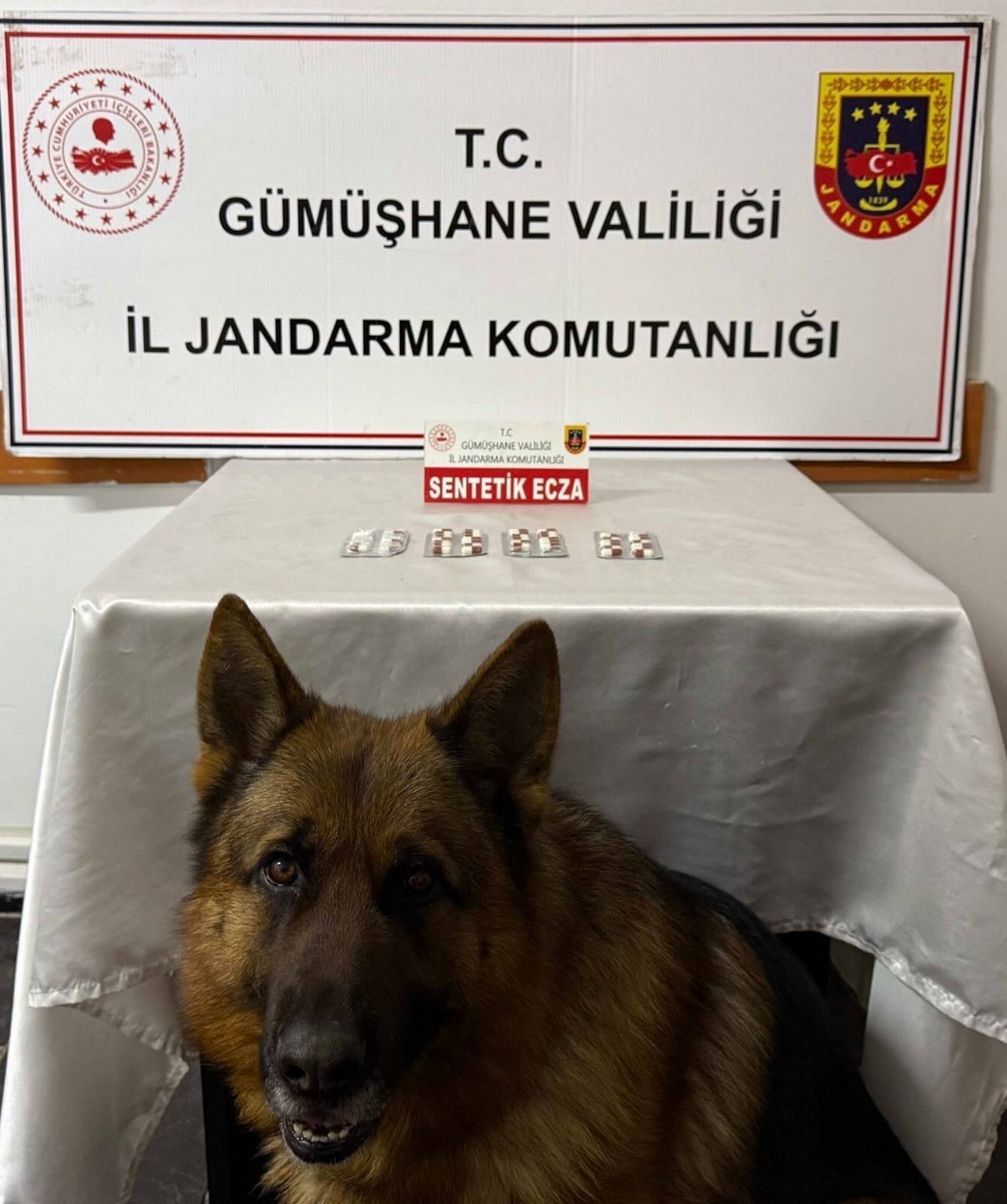 Gümüşhane’de uyuşturucu operasyonlarında iki şüpheli yakalandı