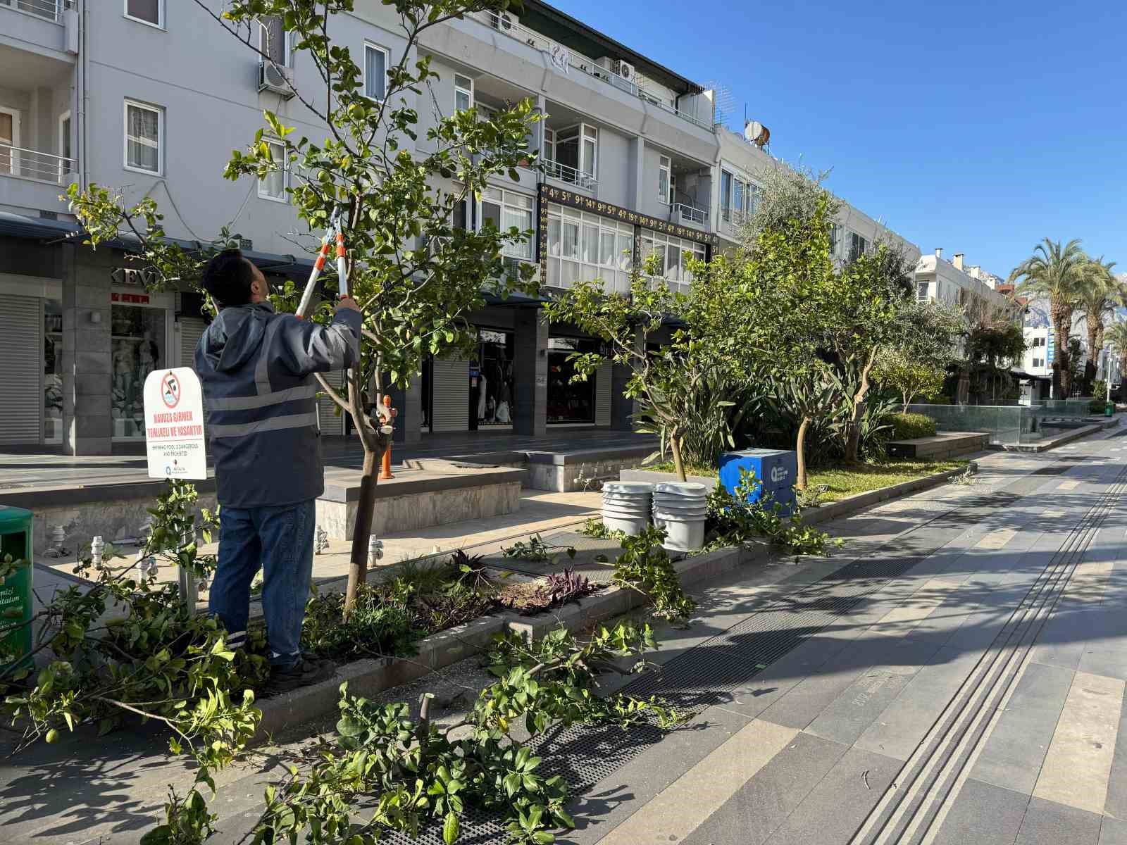 Büyükşehir’den Kemer’de peyzaj düzenlenesi