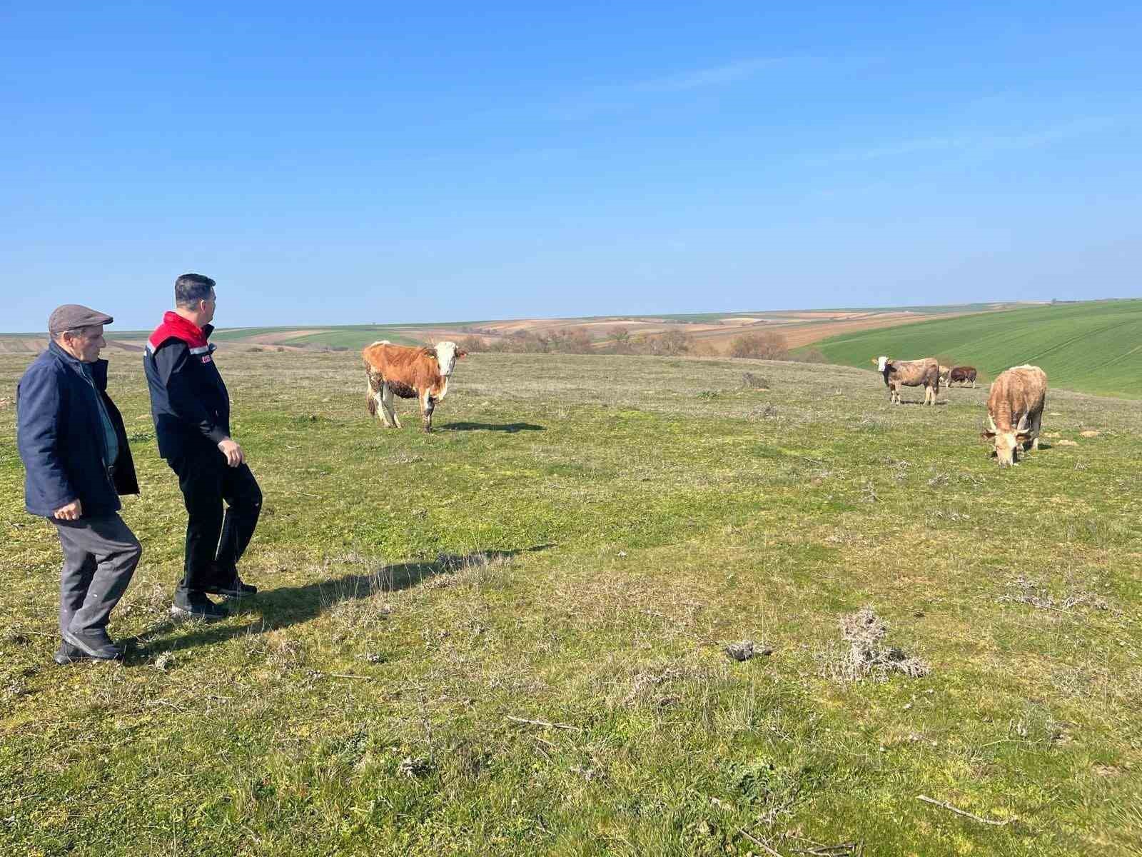Tekirdağ&rsquo;da meralara can suyu
