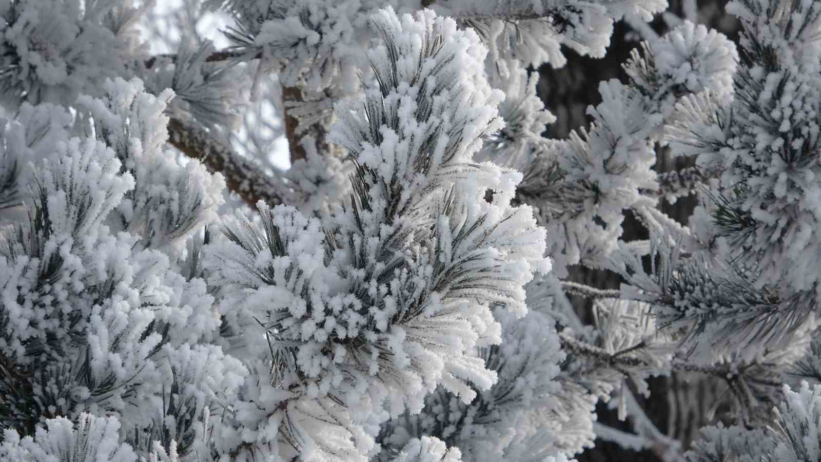 Ardahan&rsquo;ın G&ouml;le il&ccedil;esi T&uuml;rkiye&rsquo;nin en soğuk yerleşim yeri oldu
