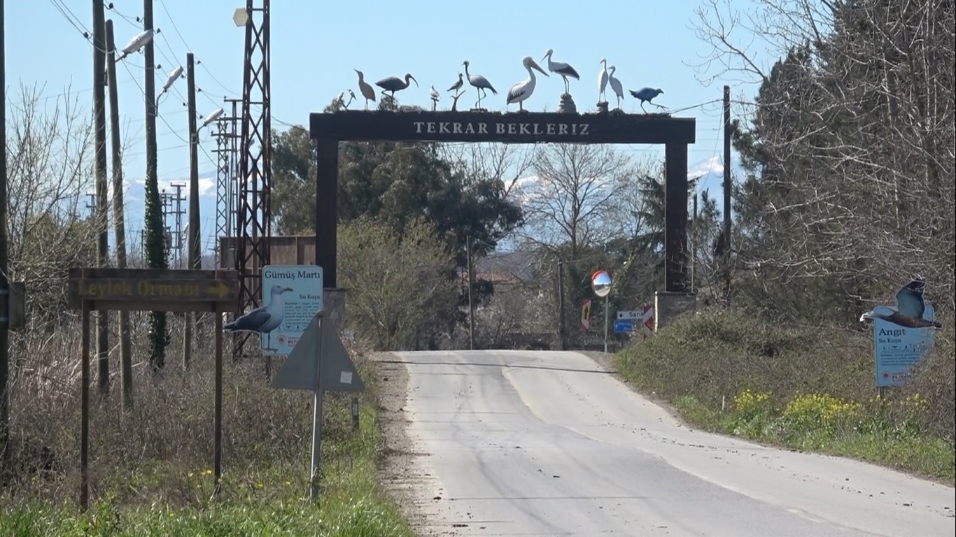 Leylekler baharın m&uuml;jdesiyle geri d&ouml;nd&uuml;
