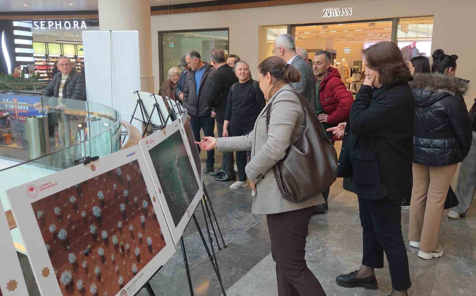15. Uluslararası Tarım, Orman ve İnsan Fotoğraf Sergisi Samsun&rsquo;da a&ccedil;ıldı
