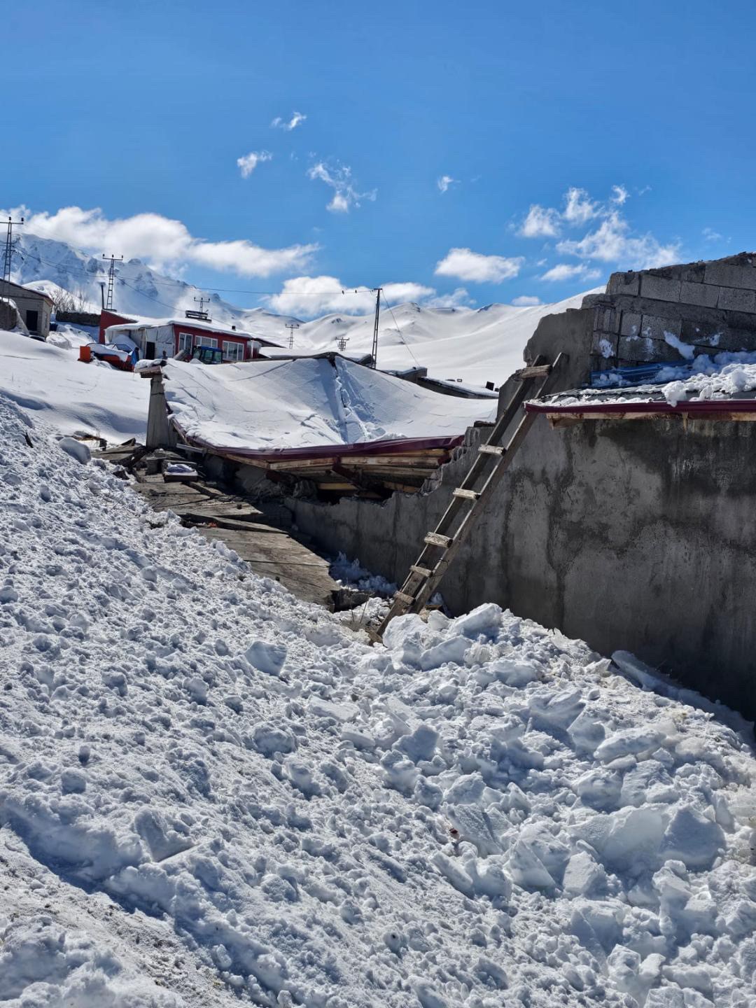 Iğdır’da ahır çöktü: Hayvanların önceden çıkarılması facianın önüne geçti