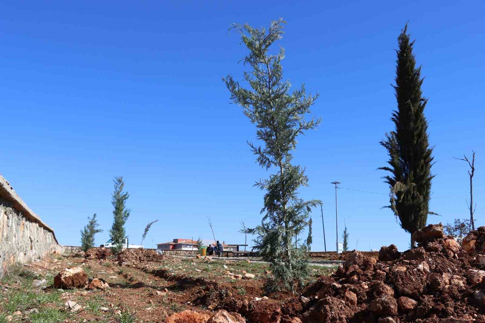 Yukarıg&ouml;kl&uuml; Kent Parkı yeşile b&uuml;r&uuml;n&uuml;yor
