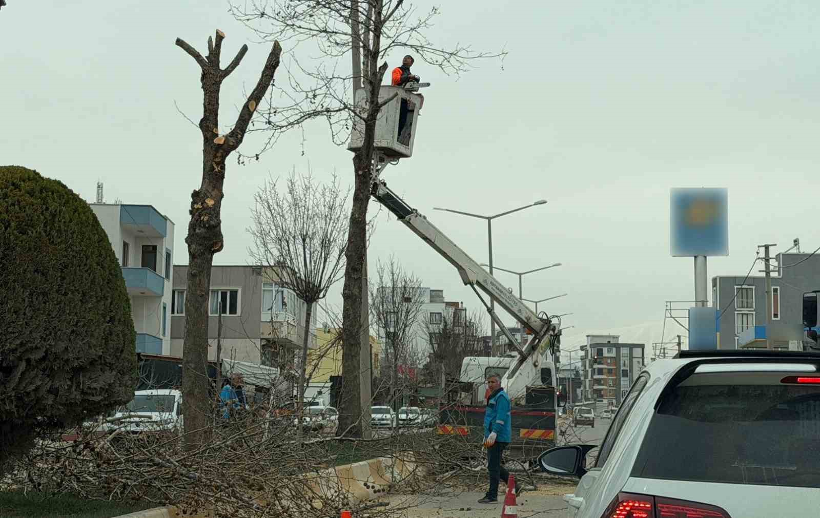 Adıyaman’da refüjlerdeki ağaçlar budanıyor