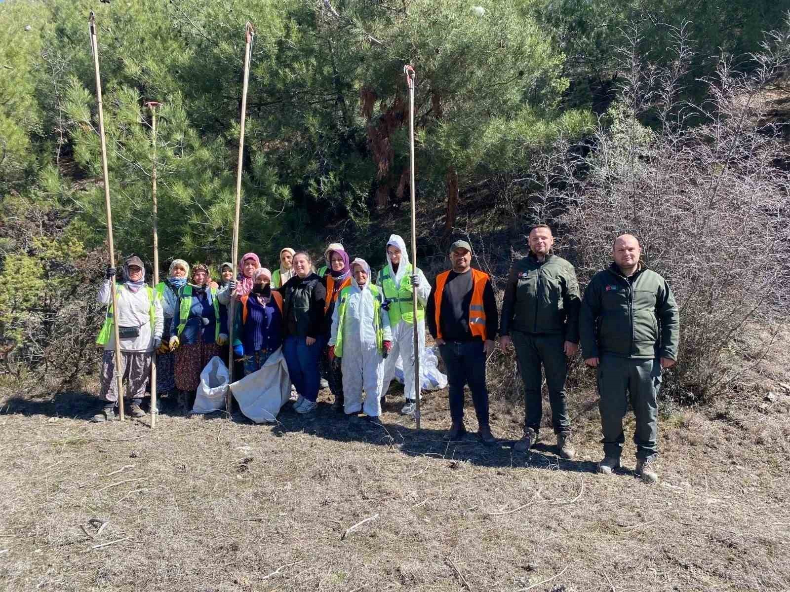 Sinop ormanlarında zararlılara karşı biyolojik savaş