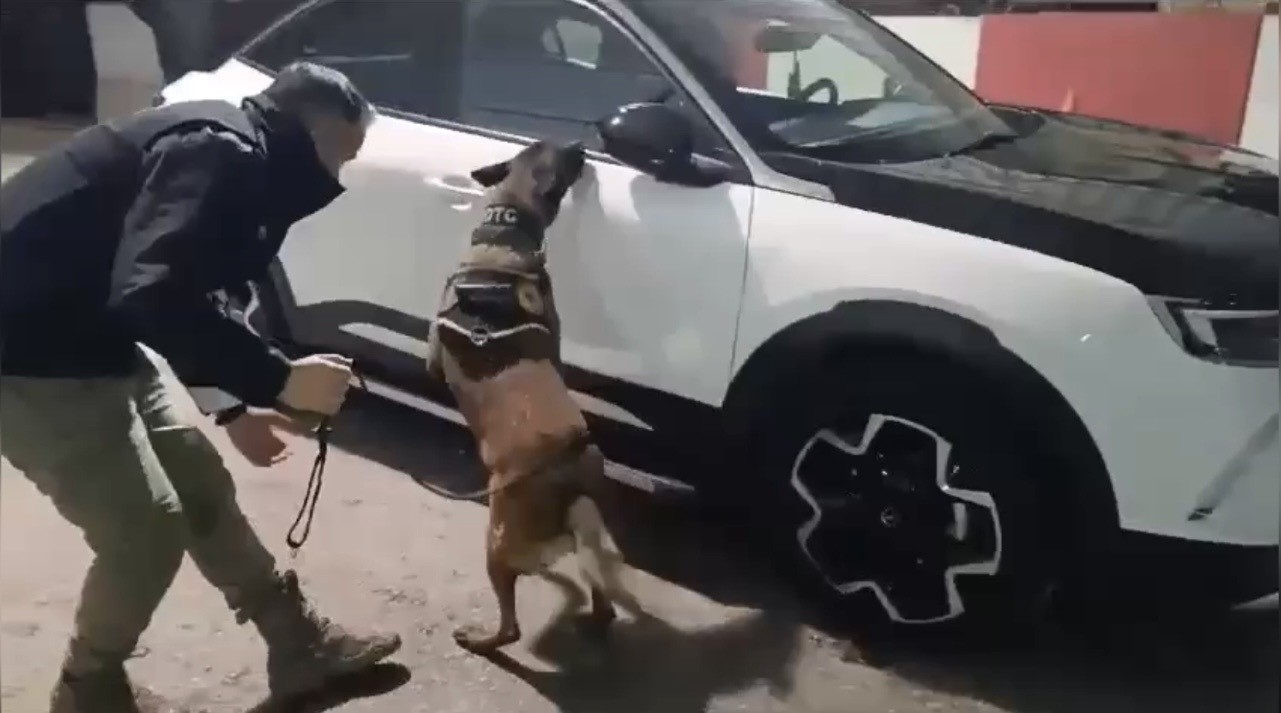 Ocak ayının en başarılı narkotik k&ouml;peği "Jardi" oldu
