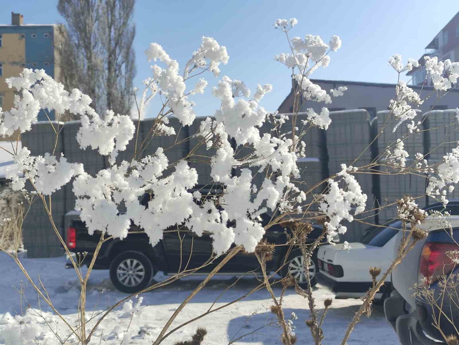 Mart ayında dondurucu soğuklar
