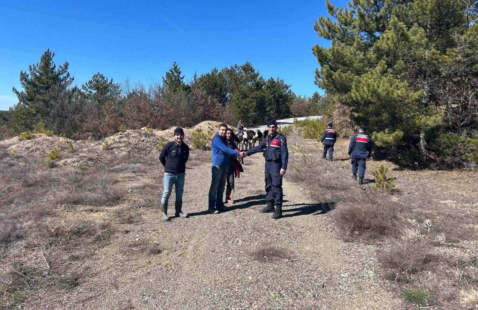 K&uuml;tahya&rsquo;da kaybolan hayvanları jandarma dronla buldu
