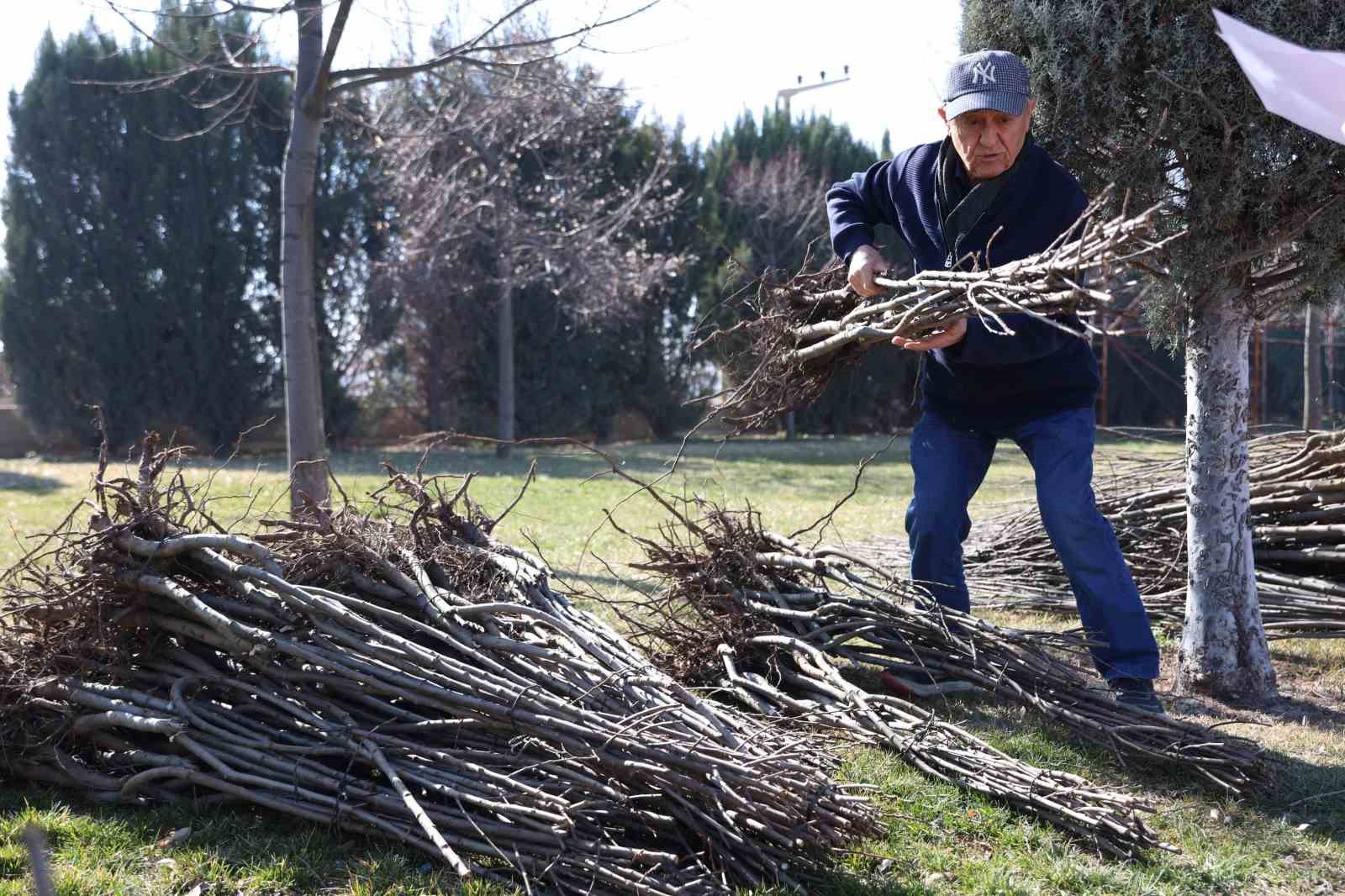 Başkan Altay: "23 bin 500 adet fidanı çiftçimize ulaştıracağız"
