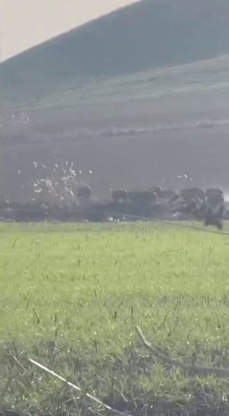 Diyarbakır&rsquo;da domuz s&uuml;r&uuml;s&uuml; g&ouml;r&uuml;nt&uuml;lendi
