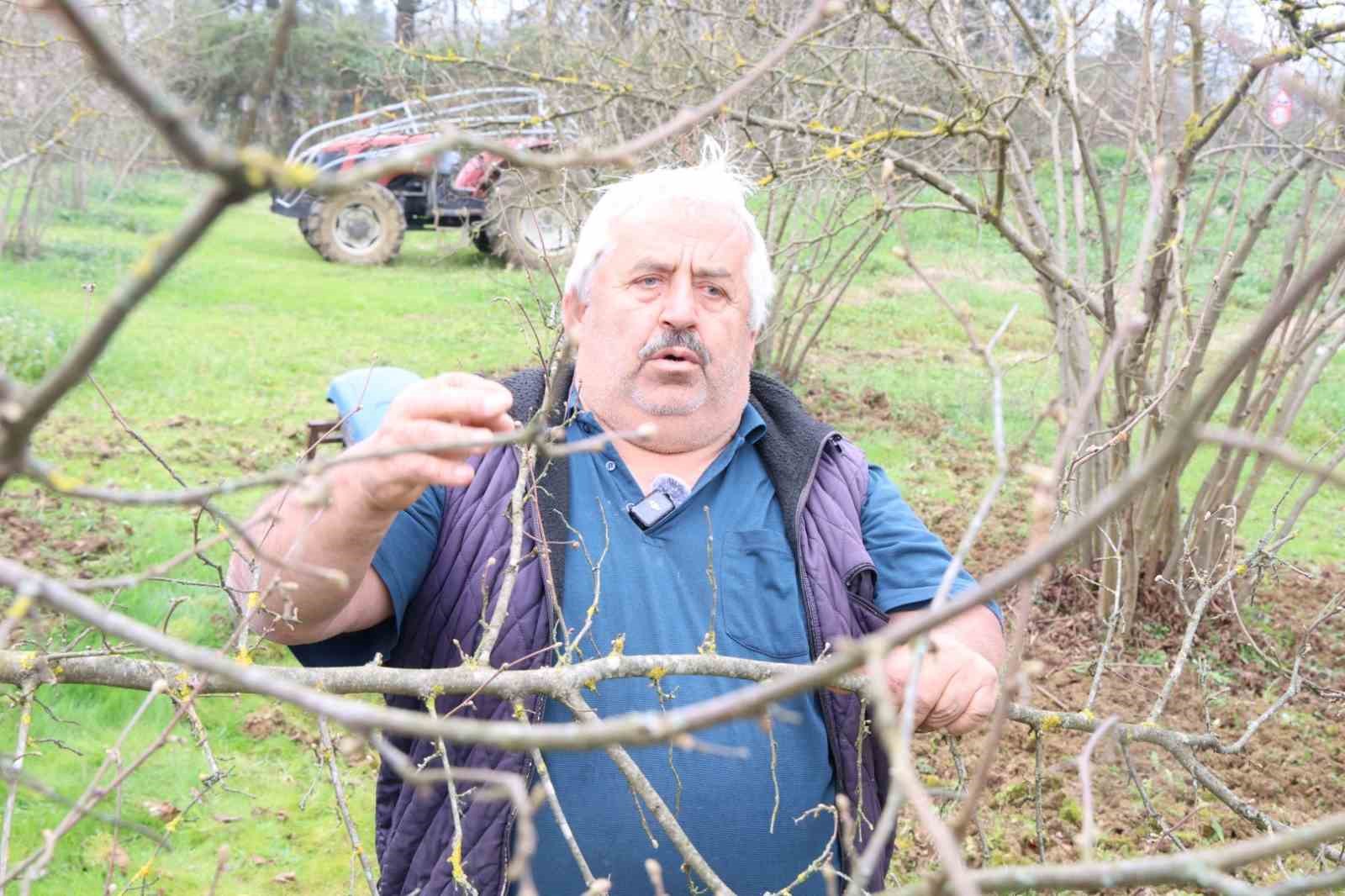 Kocaeli&rsquo;de hibeli g&uuml;brelerini alan &ccedil;ift&ccedil;iler tarlada mesaiye başladı
