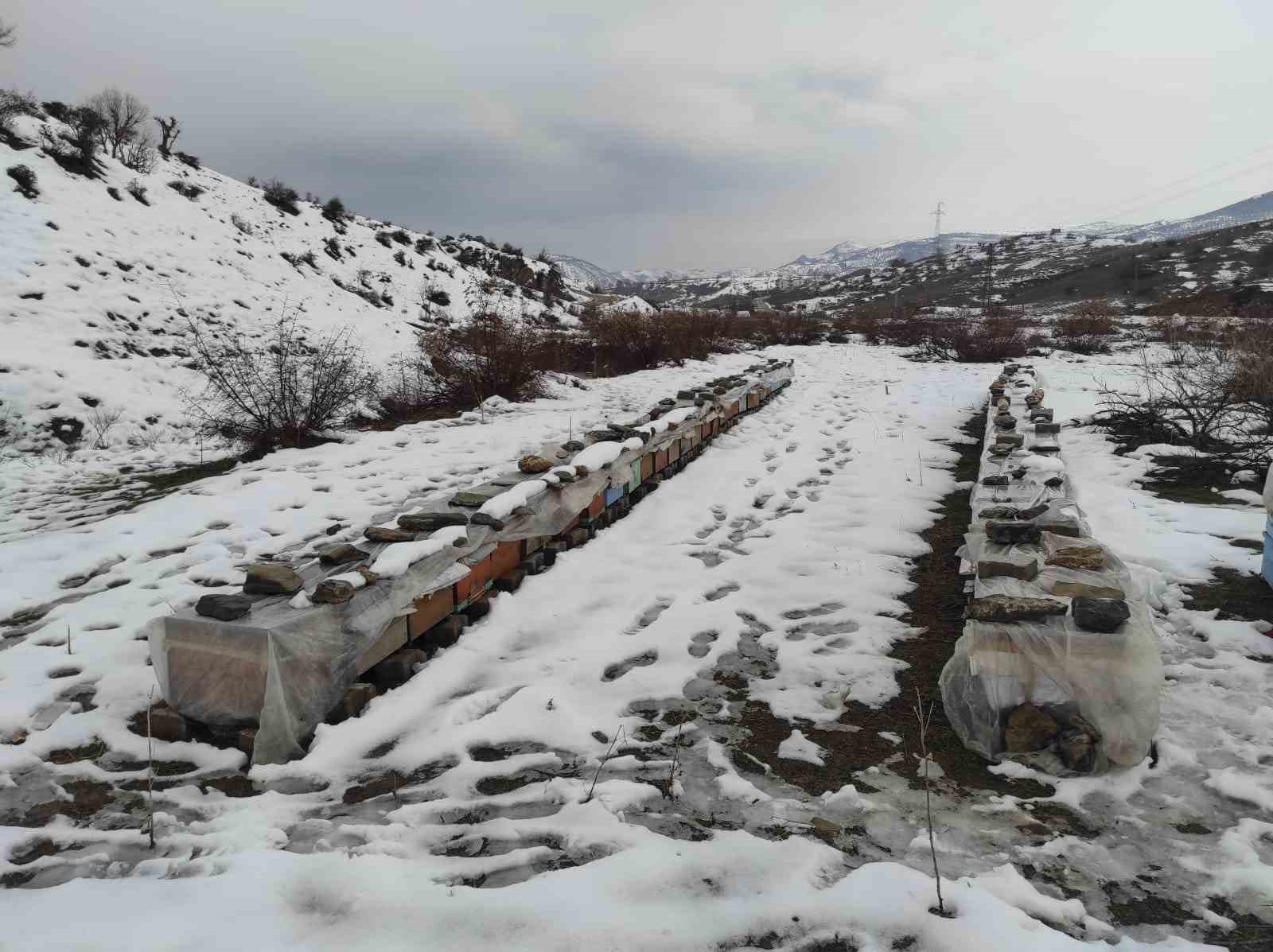 Birincilik getiren arılarını kış şartlarında &ouml;zenle koruyor
