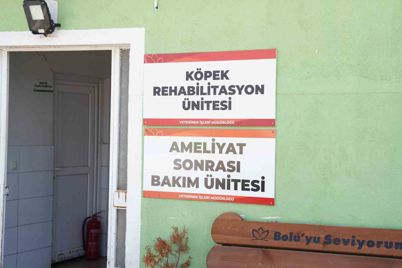 K&ouml;peği ezen s&uuml;r&uuml;c&uuml; serbest bırakıldı
