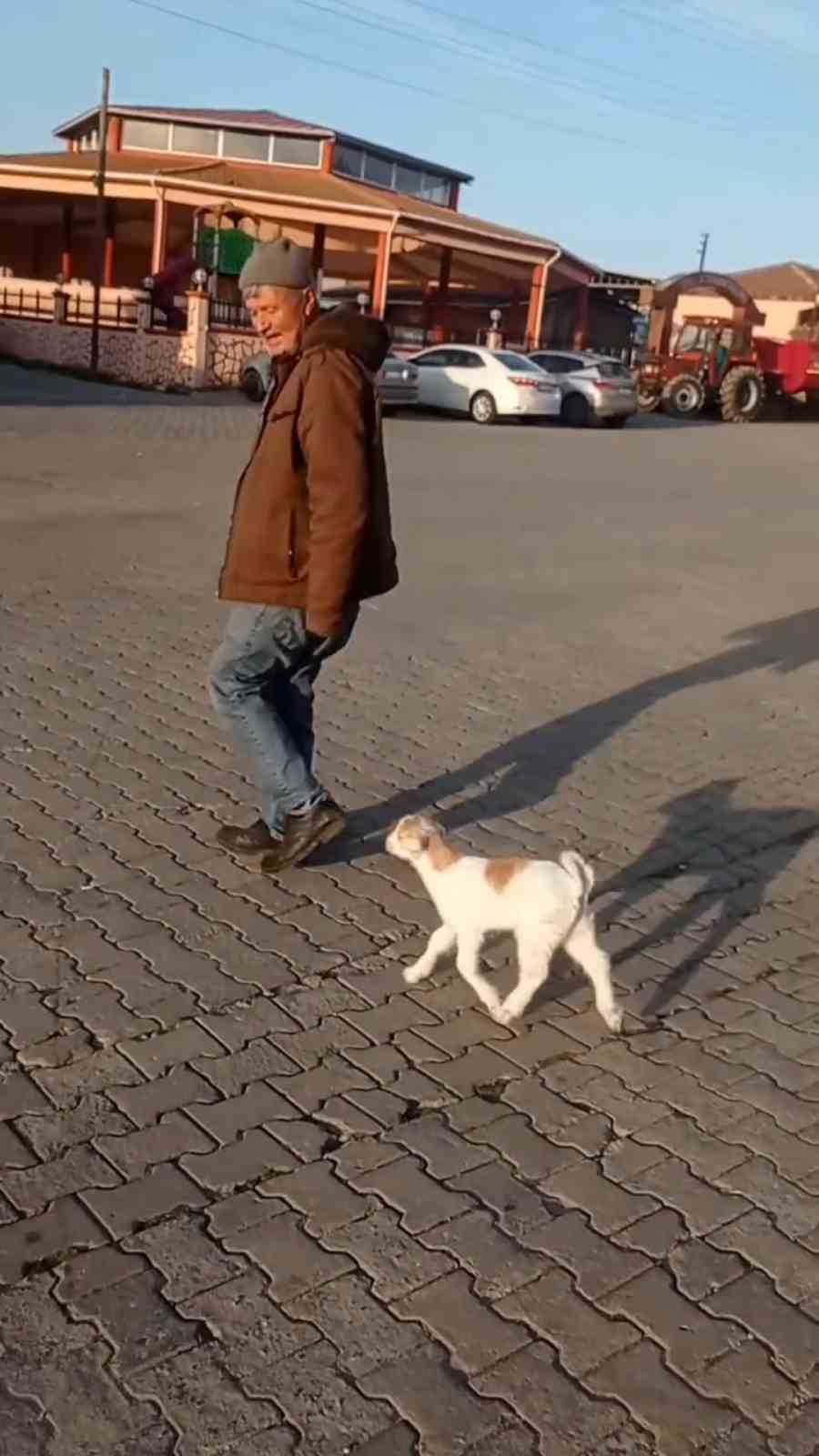 Edirne&rsquo;de de "ke&ccedil;i ile alışveriş" keyfi
