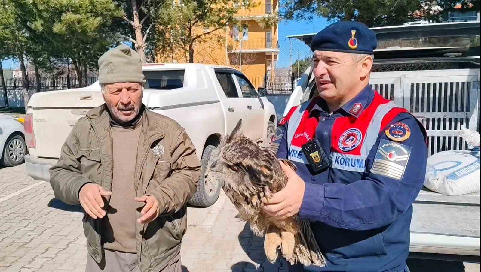 Yozgat’ta yaralı puhu kurtarıldı