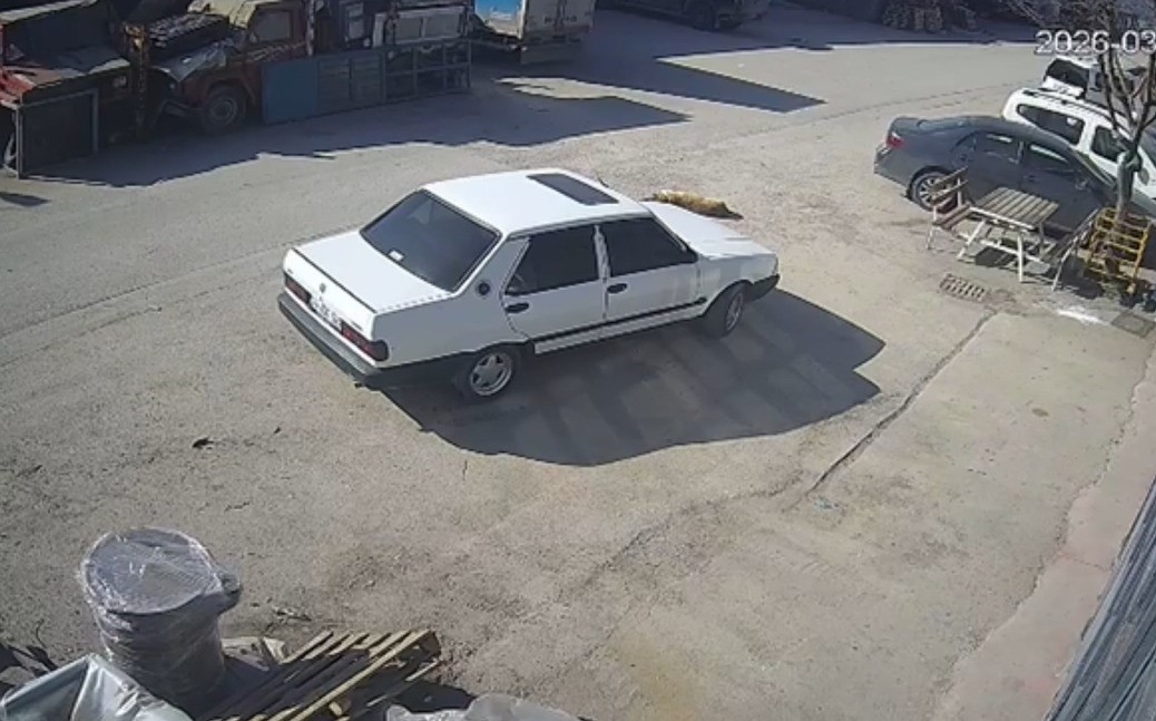 Bolu’da köpeğin üzerinden geçen sürücü gözaltına alındı