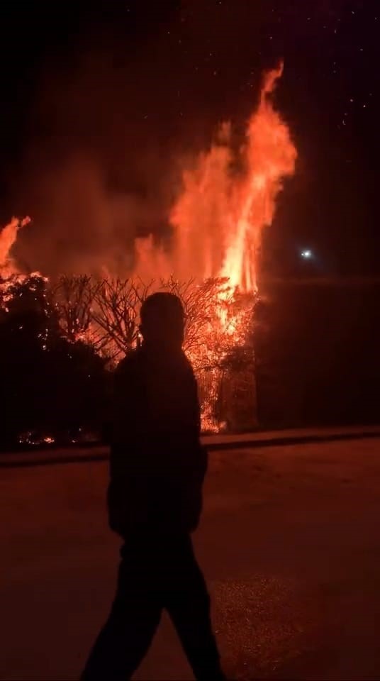 Sebepsiz yere ateşe verilen ağa&ccedil; itfaiyeyi harekete ge&ccedil;irdi
