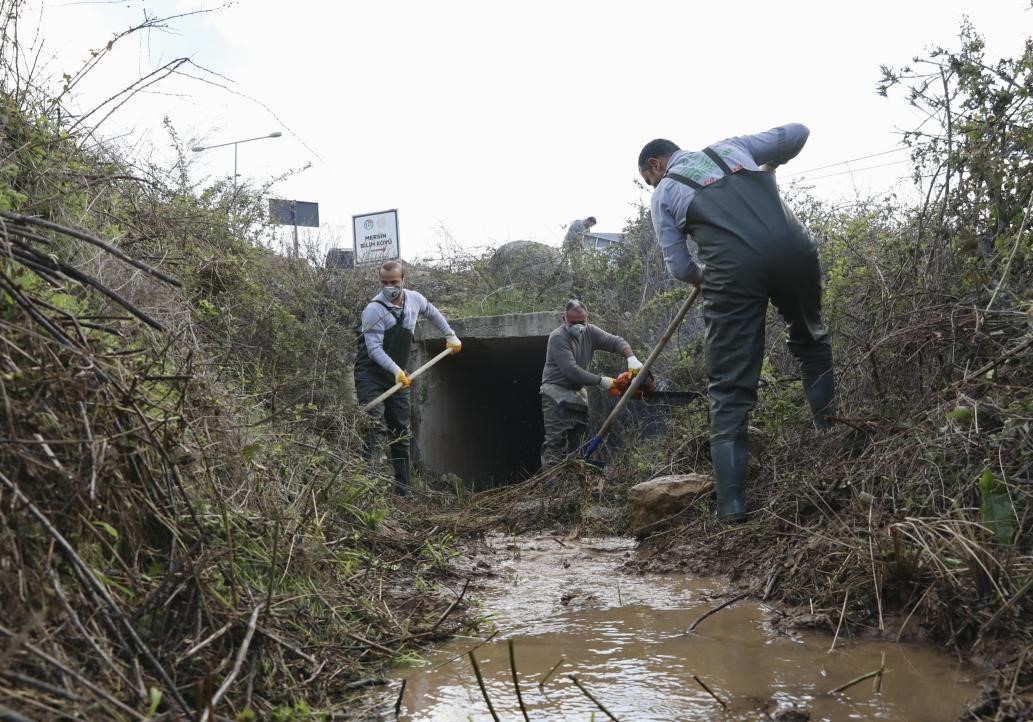 Mersin B&uuml;y&uuml;kşehir Belediyesi kent genelinde haşereyle m&uuml;cadeleyi s&uuml;rd&uuml;r&uuml;yor
