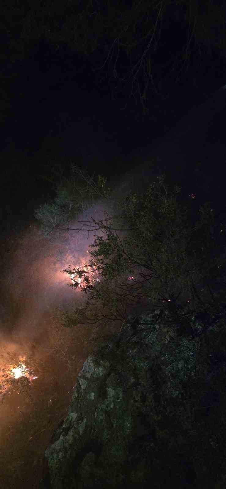 Alanya&rsquo;da ormanlık alanda &ccedil;ıkan yangın b&uuml;y&uuml;meden s&ouml;nd&uuml;r&uuml;ld&uuml;
