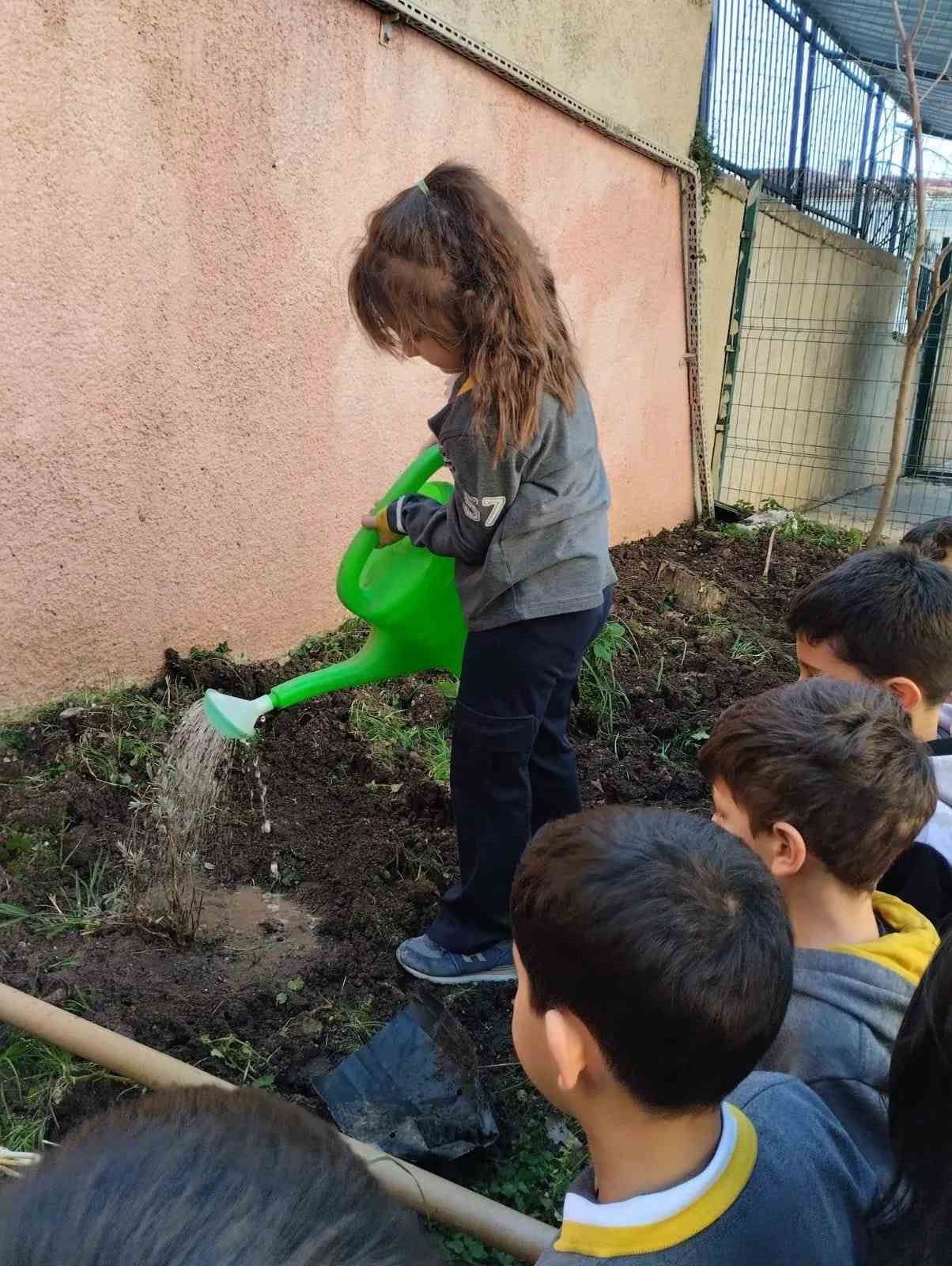 Sinop&rsquo;ta minik eller geleceğe nefes oldu
