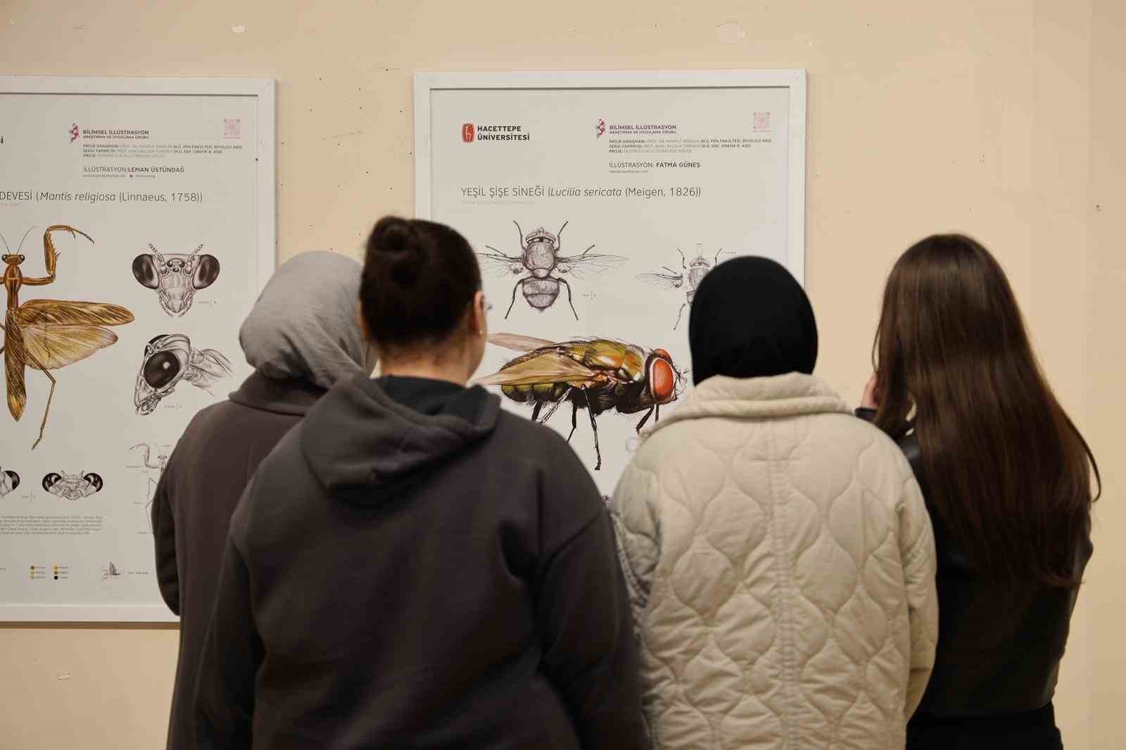 B&ouml;ceklerin d&uuml;nyası bilim ve sanatla anlatıldı
