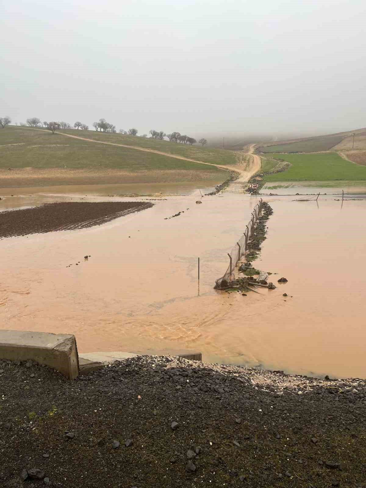 Diyarbakır’da sağanak nedeni ile onlarca koyun telef oldu