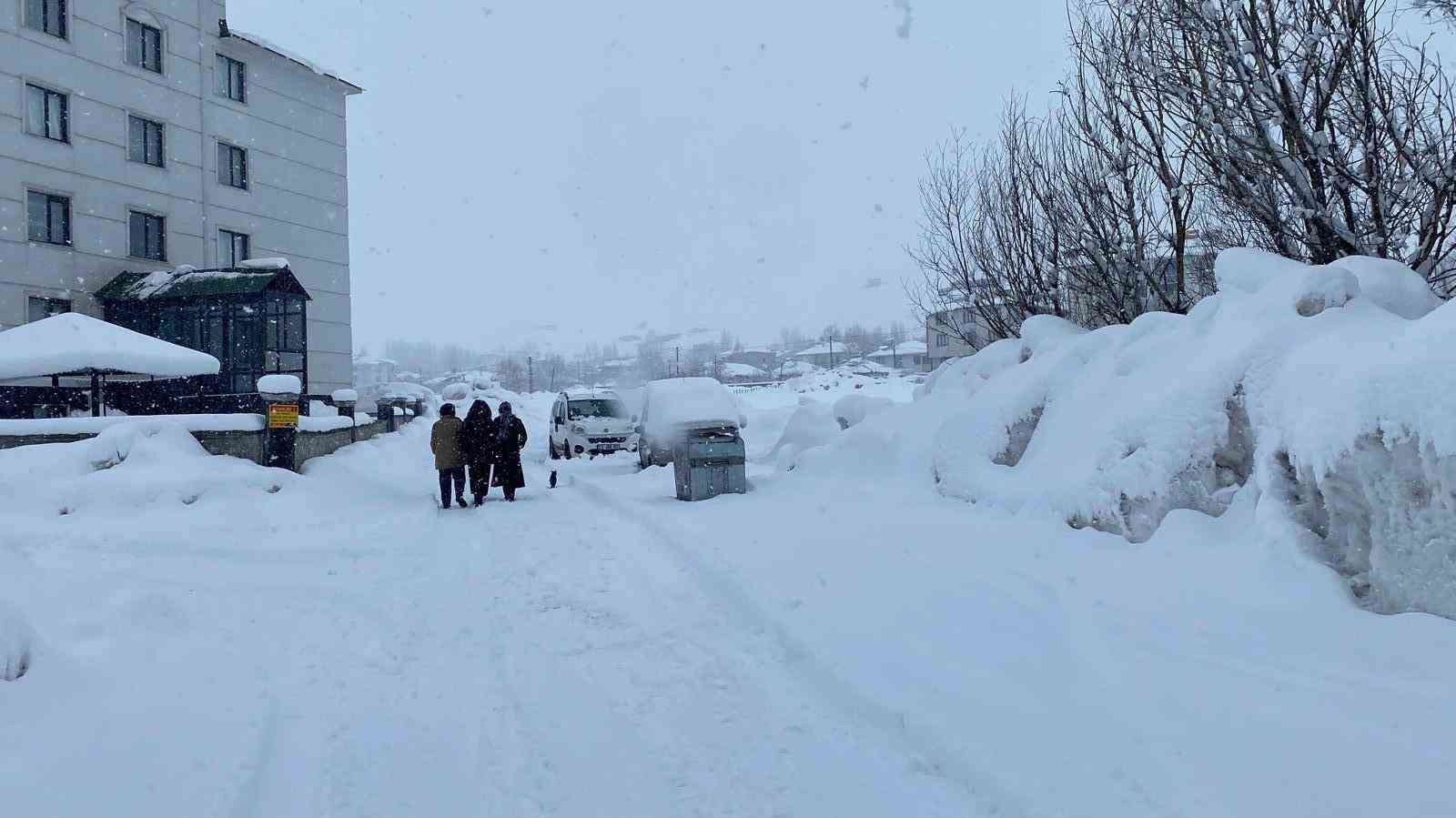 Karlıova&rsquo;da kar yağışı yeniden etkili oldu
