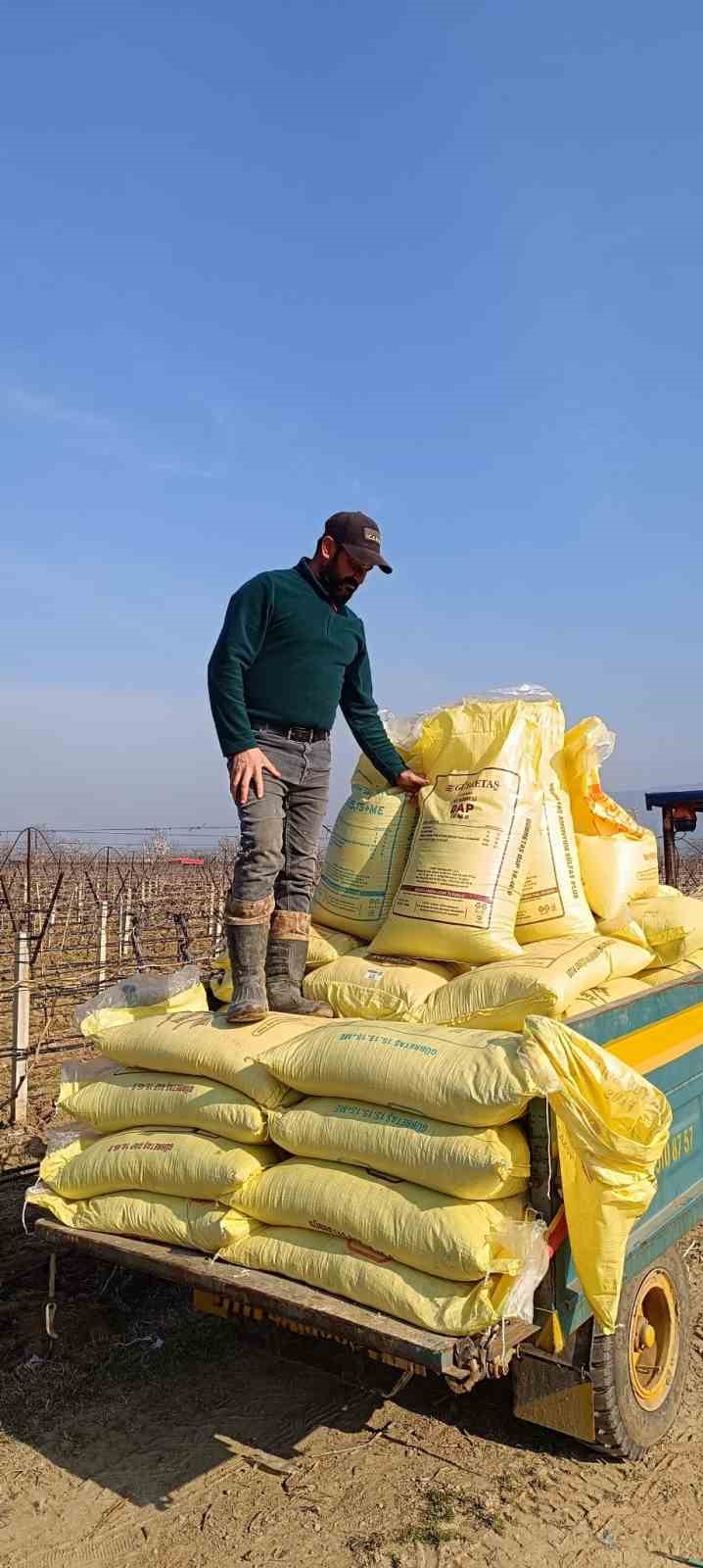 Sarıg&ouml;l bağlarında g&uuml;breleme &ccedil;alışmaları başladı
