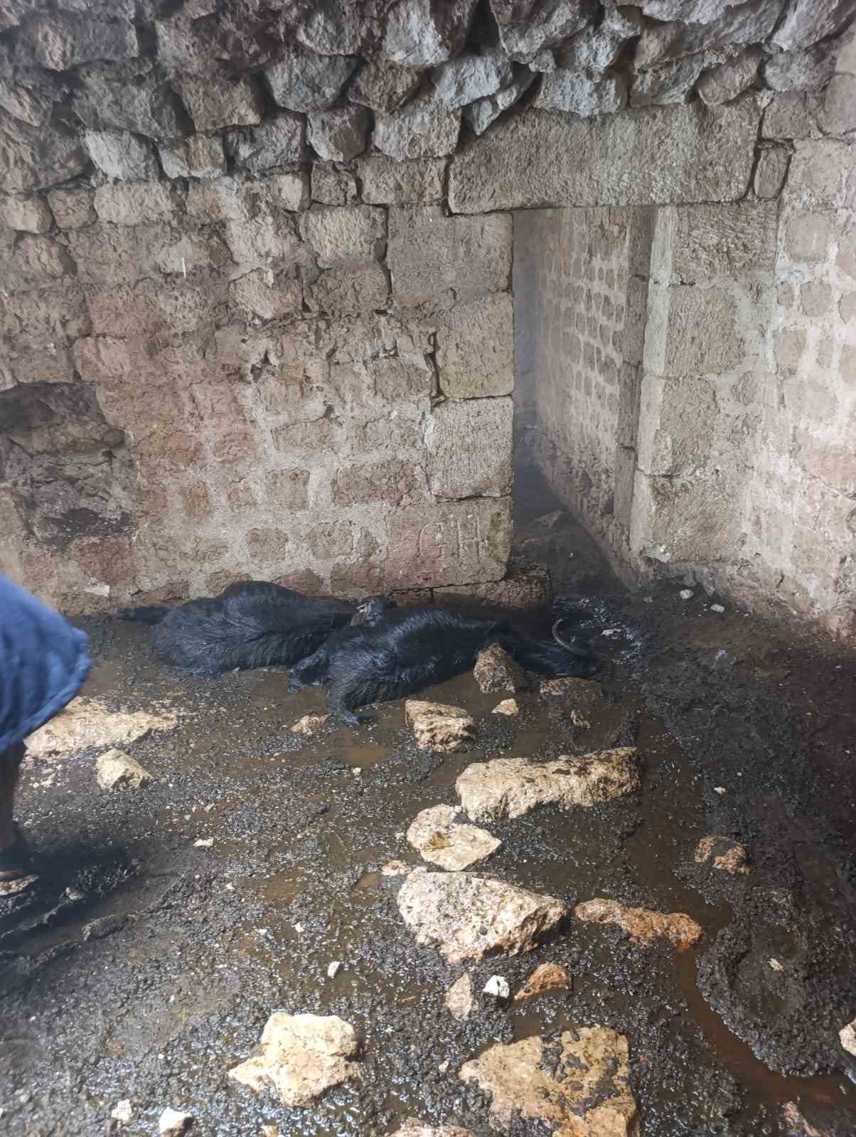 Tarsus’ta ahıra yıldırım düştü: 5 küçükbaş hayvan telef oldu