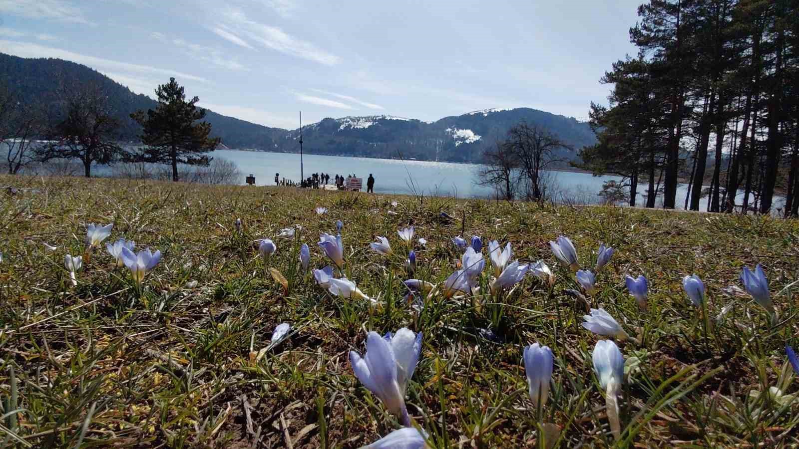 Abant’ta karların ardından bahar manzarası