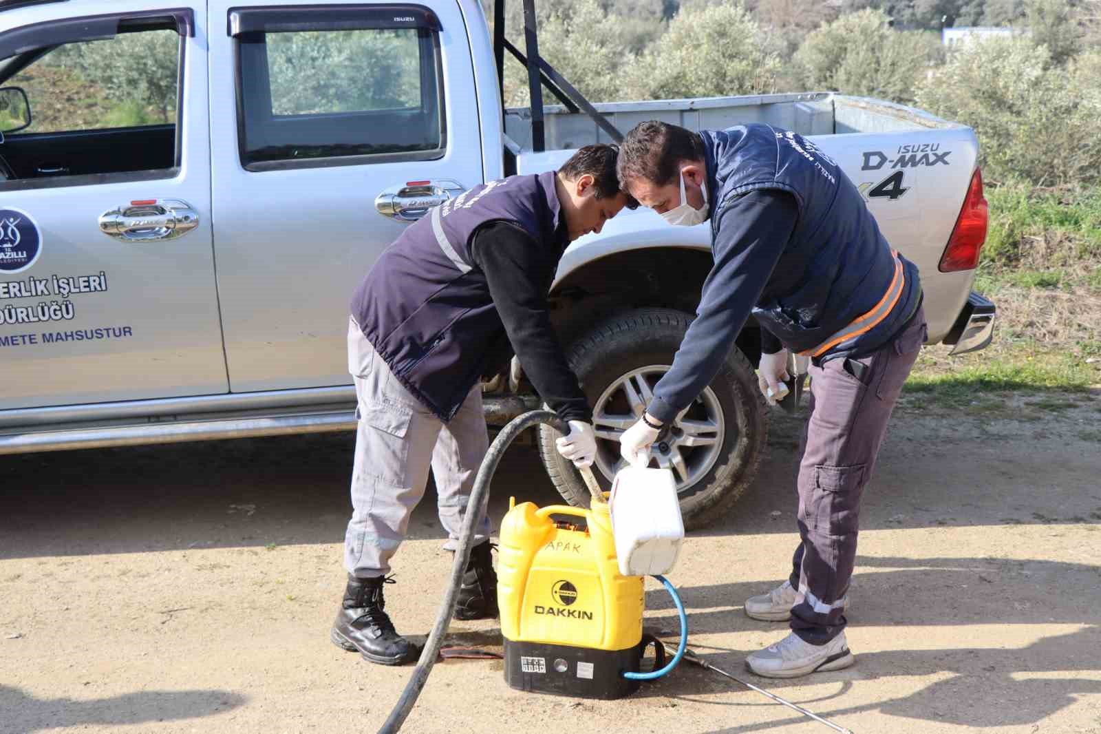 Nazilli Belediyesi sivrisinek ve haşereyle mücadeleye kesintisiz devam ediyor
