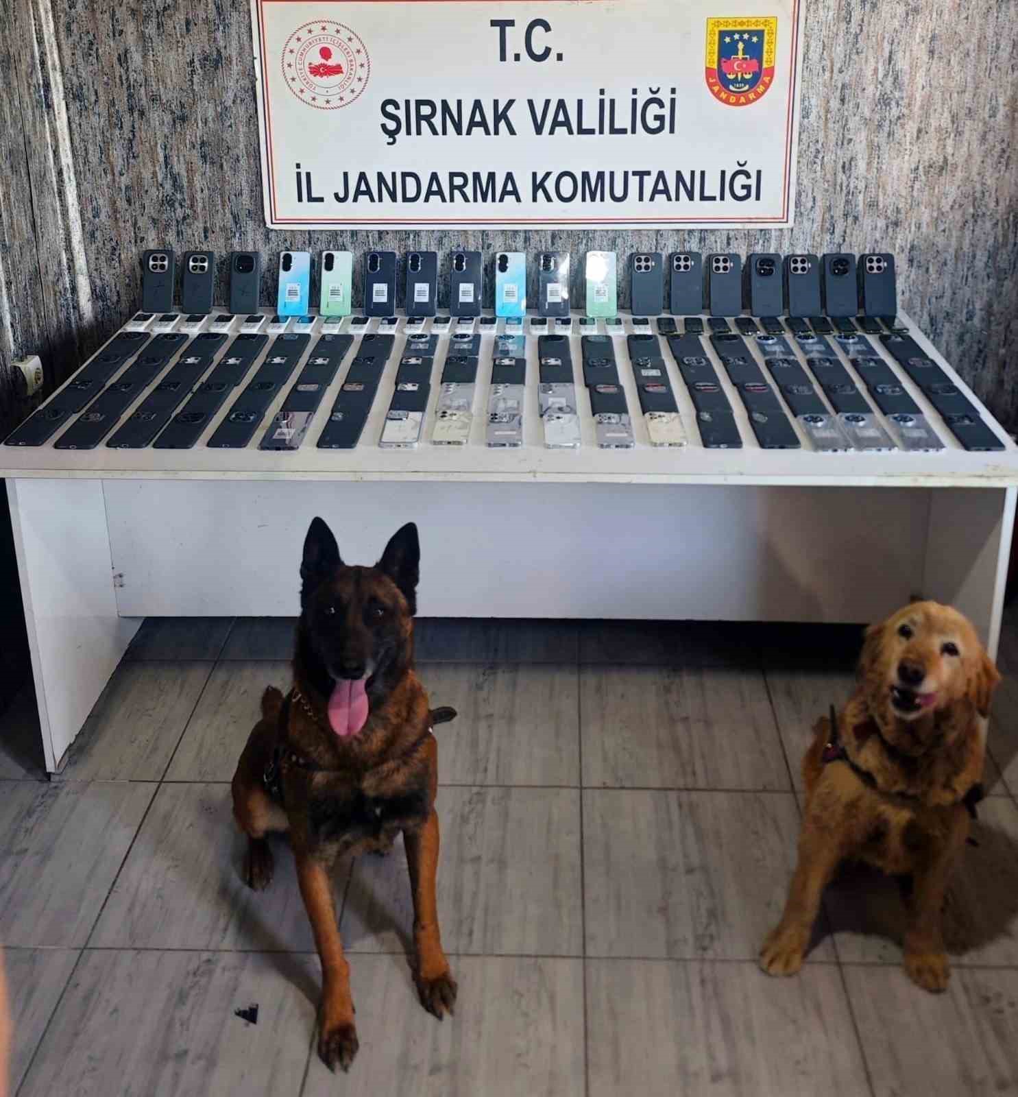 Şırnak’ta jandarmadan kaçakçılık operasyonu: 34,5 milyon liralık kaçak malzeme ele geçirildi