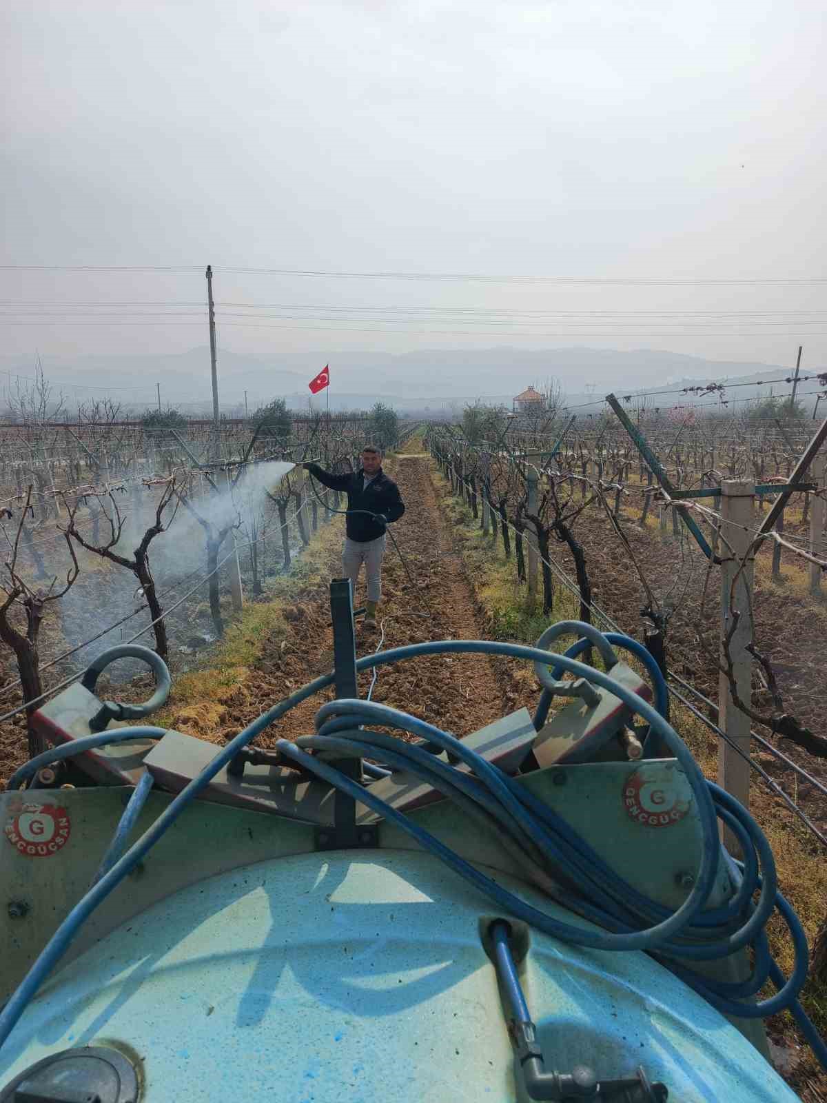 Sarıgöl’de ölü kol hastalığıyla mücadele başladı