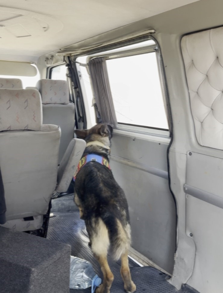 Minib&uuml;s&uuml;n yan kapısının i&ccedil;inden bin 120 adet uyuşturucu hap &ccedil;ıktı
