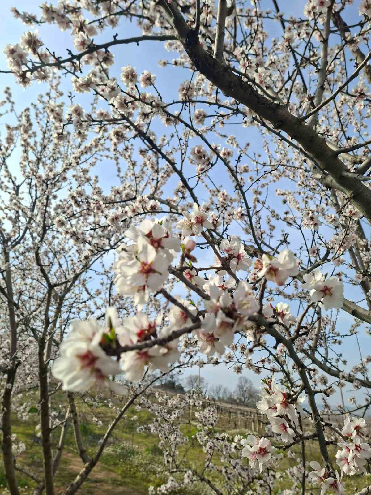 Sarıgöl’de kartpostallık manzara