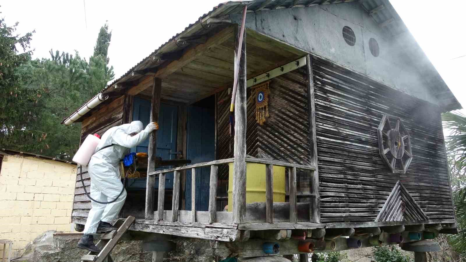 Ordu&rsquo;da kahverengi kokarca ile kışlak m&uuml;cadelesi: 330 bin noktadan 190 bini ila&ccedil;landı
