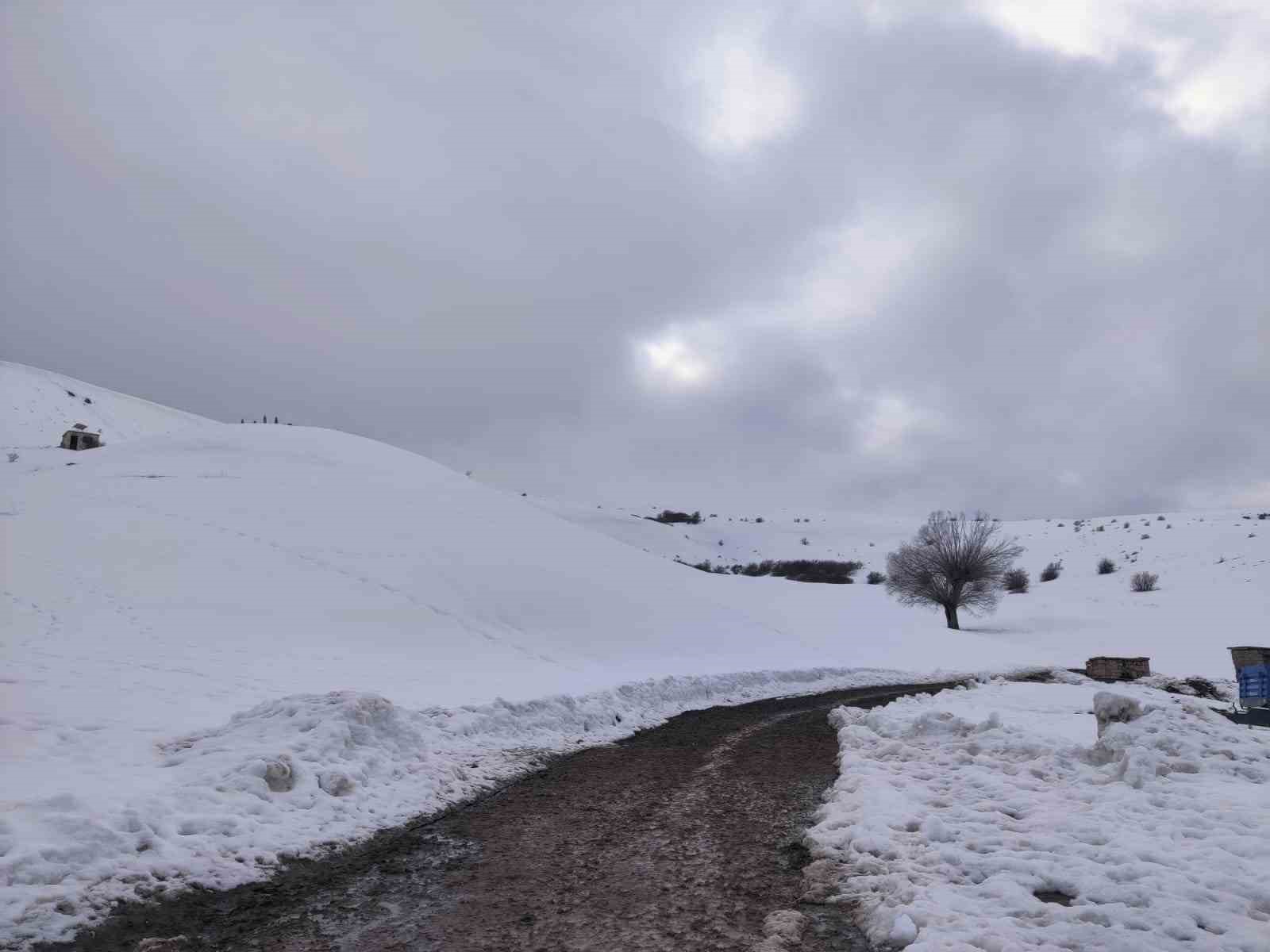 Kar yağışı Aşkale&rsquo;de yeniden etkili oluyor
