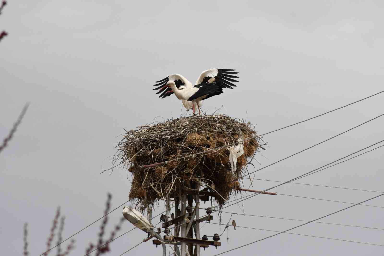 Yuvalarına d&ouml;nen leylekler Yozgat&rsquo;ta baharı m&uuml;jdeledi
